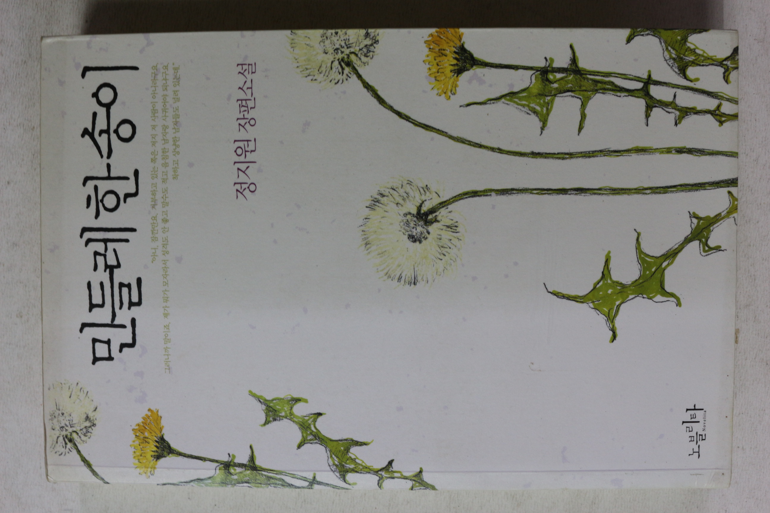 2008년초판 정지원 장편소설 민들레한송이