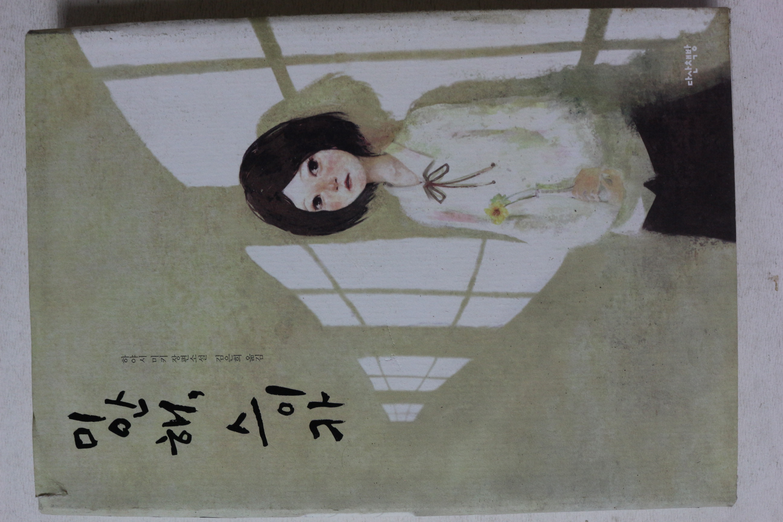 2011년 하야시 미키 장편소설 미안해 스이카