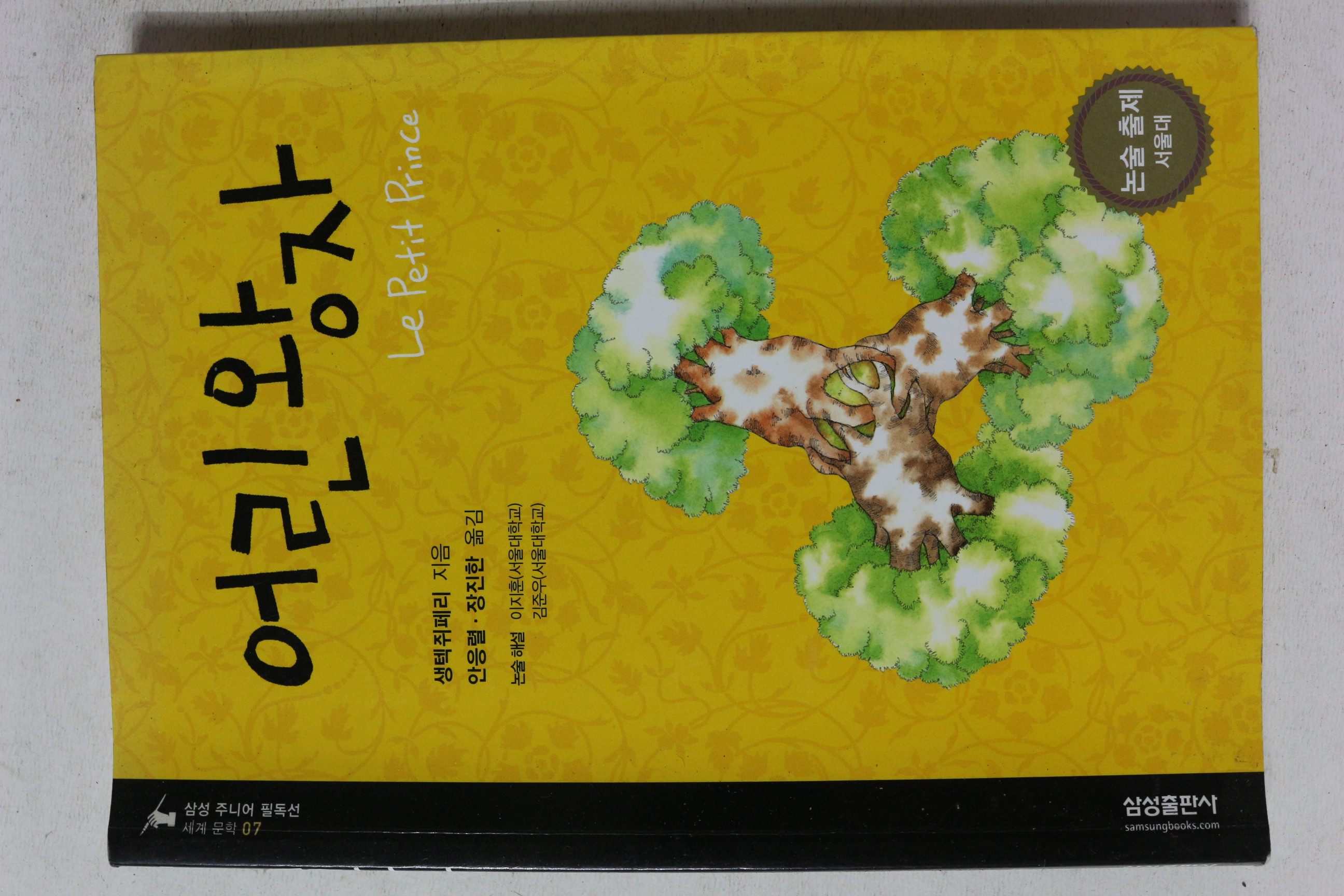 2011년 어린왕자