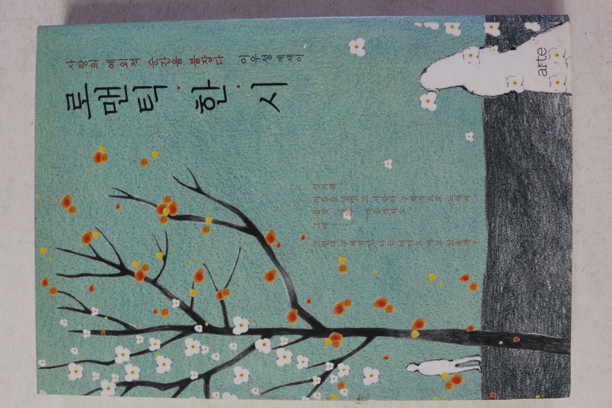 2015년초판 이우성 에세이 로맨틱 한시