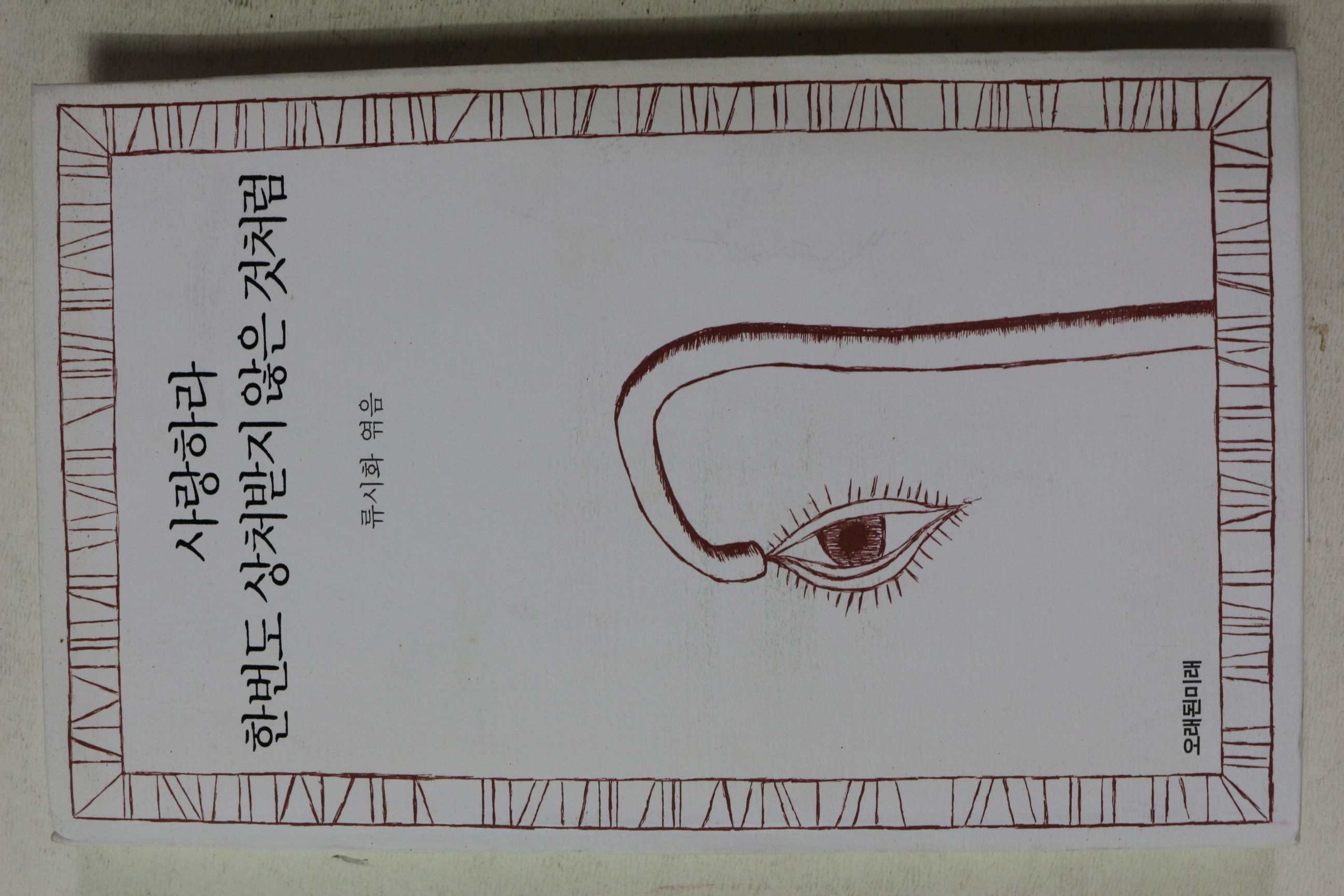 2013년 류시화 엮음 사랑하라 한번도 상처받지 않은것처럼