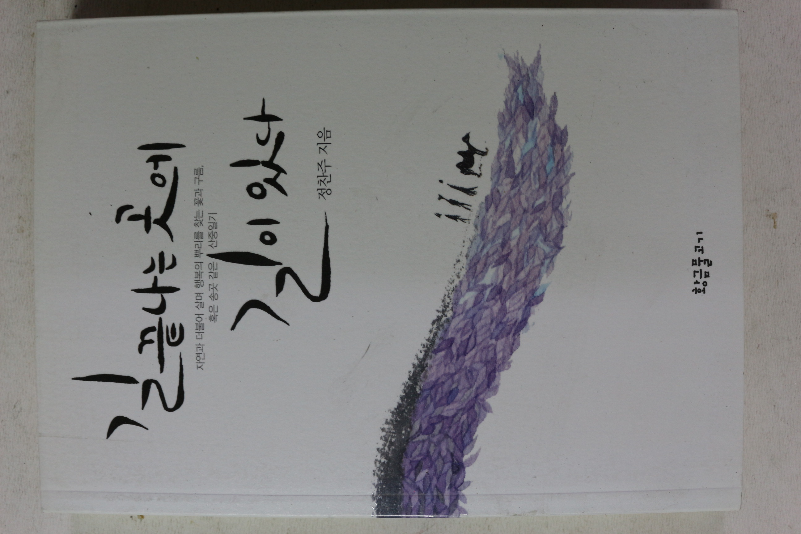 2016년초판 정찬주 길끝나는 곳에 길이 있다