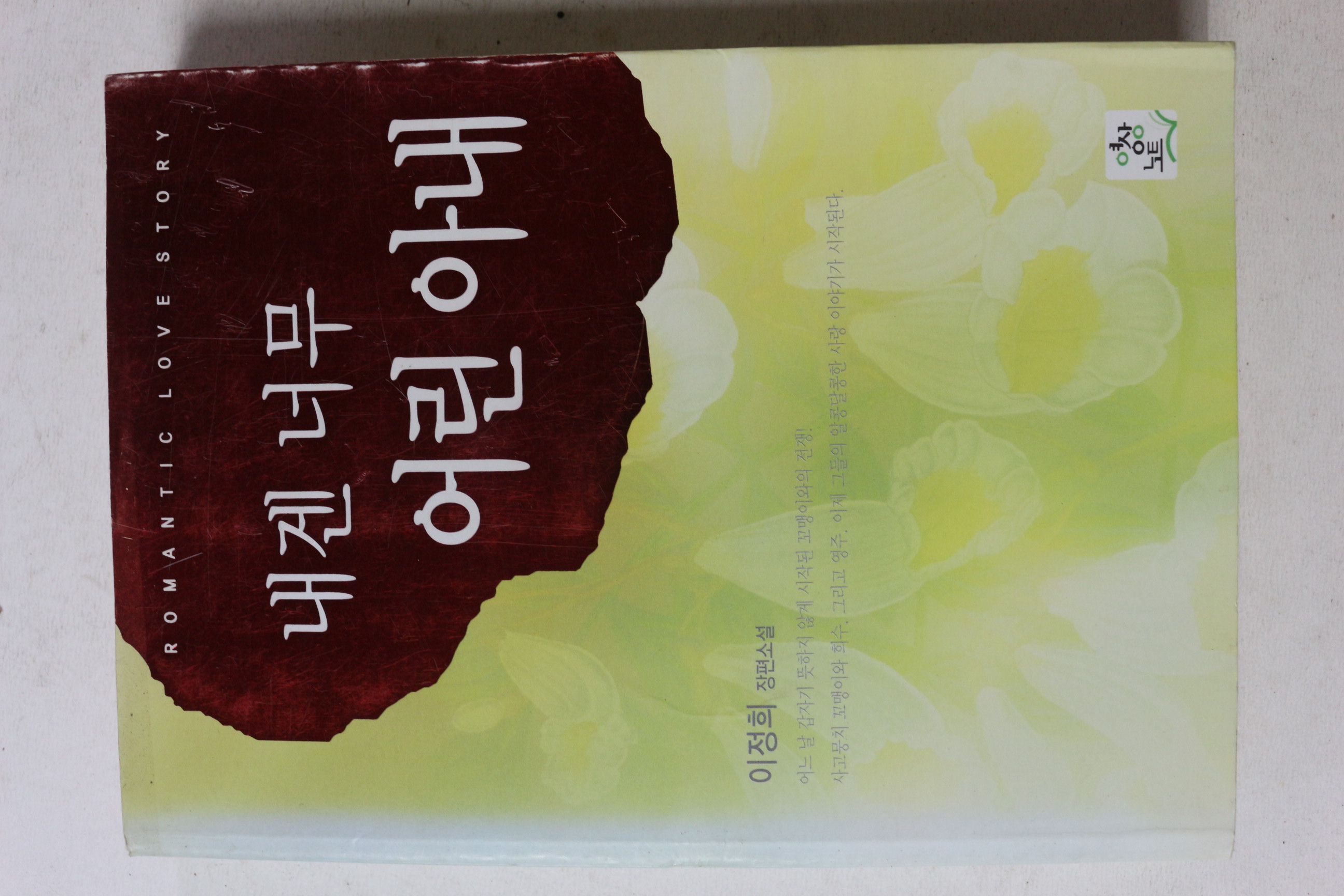 2006년초판 이정희 장편소설 내겐 너무 어린아내