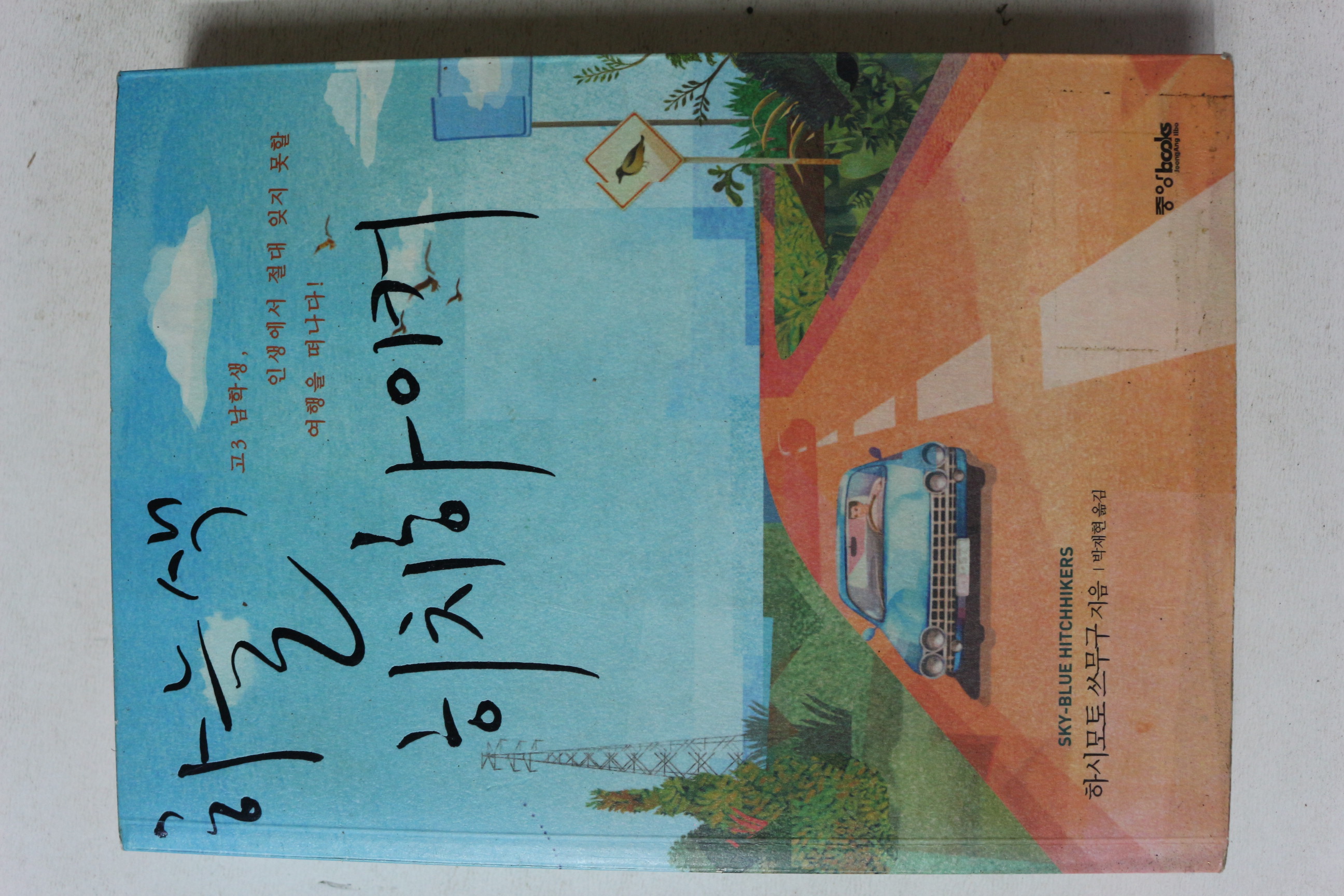 2007년초판 하시모트 쓰무구 박재현옮김 하늘색 히치하이커