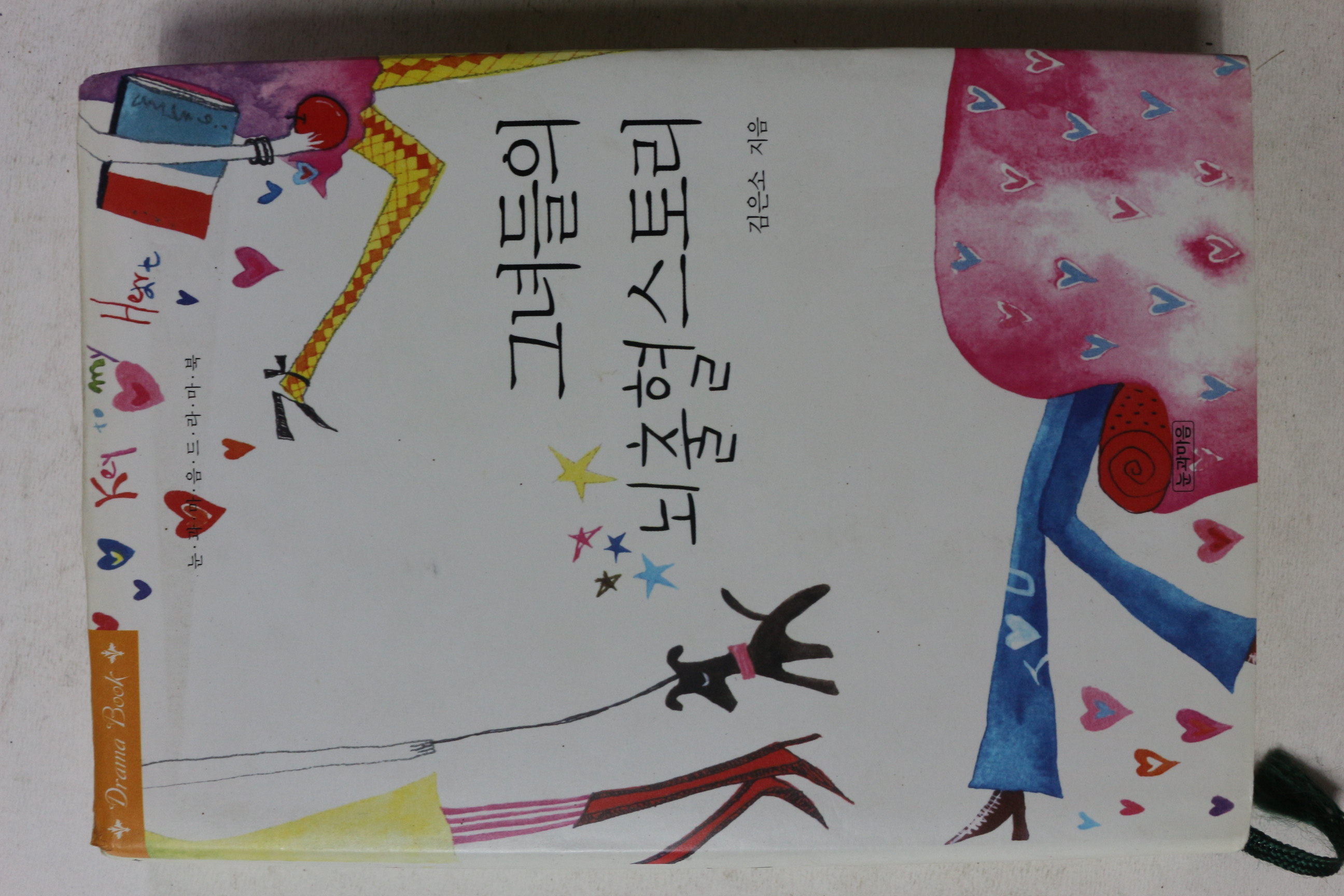 2005년초판 김은소 그녀들의 뇌출혈스토리