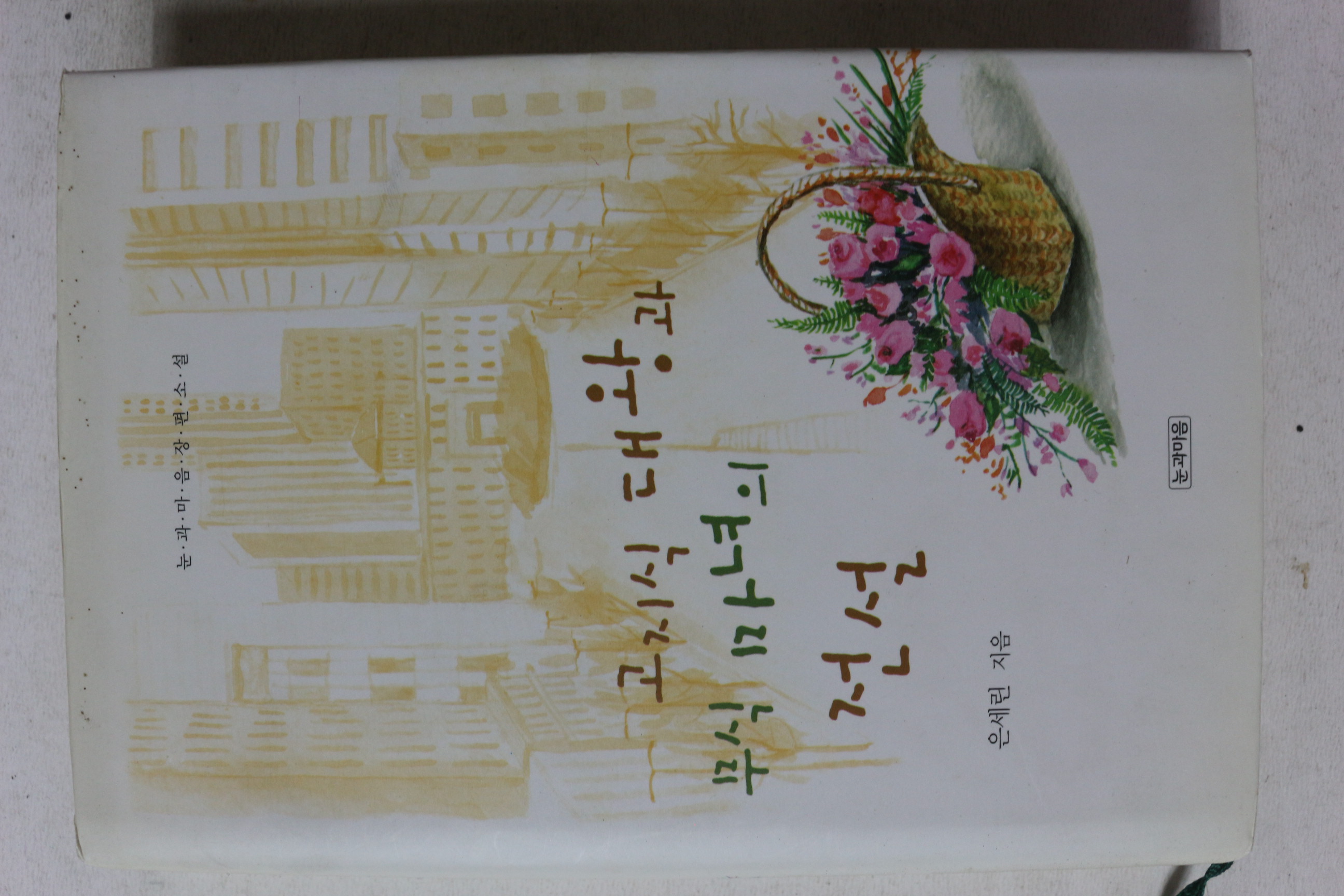 2004년초판 은세린 고지식대왕과 무식마녀의 전설