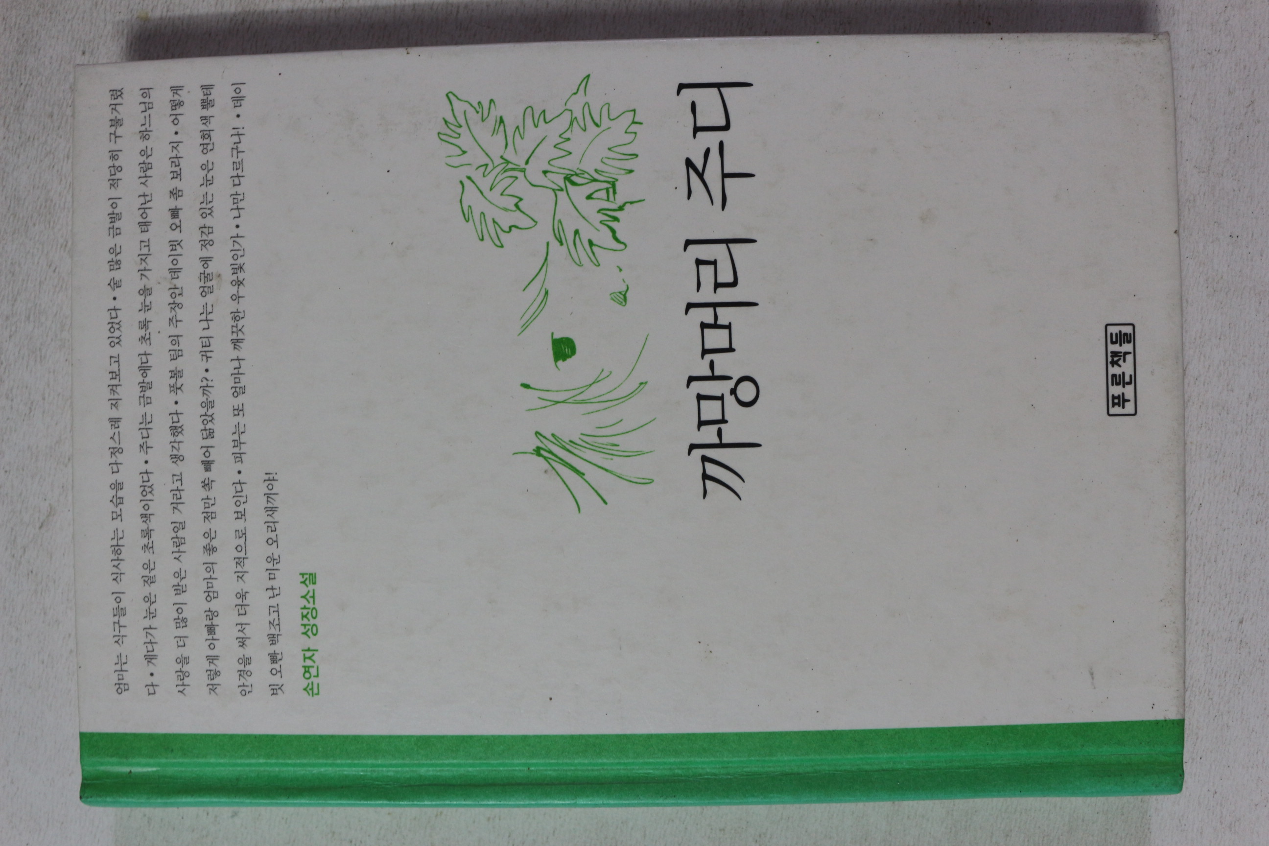 2010년 손연자 성장소설 까망머리 주디