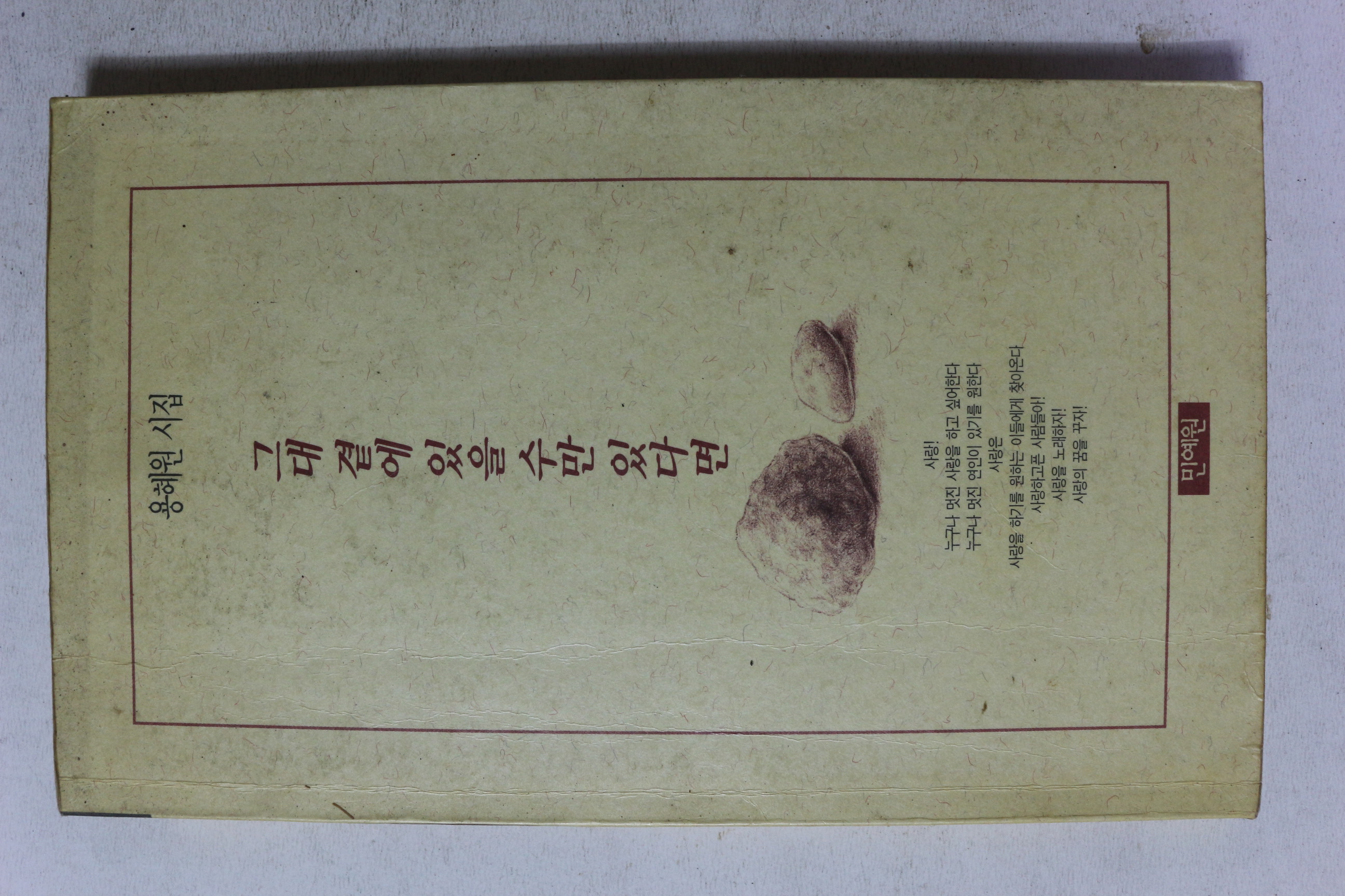 1996년 용혜원시집 그대 곁에 있을 수만 있다면