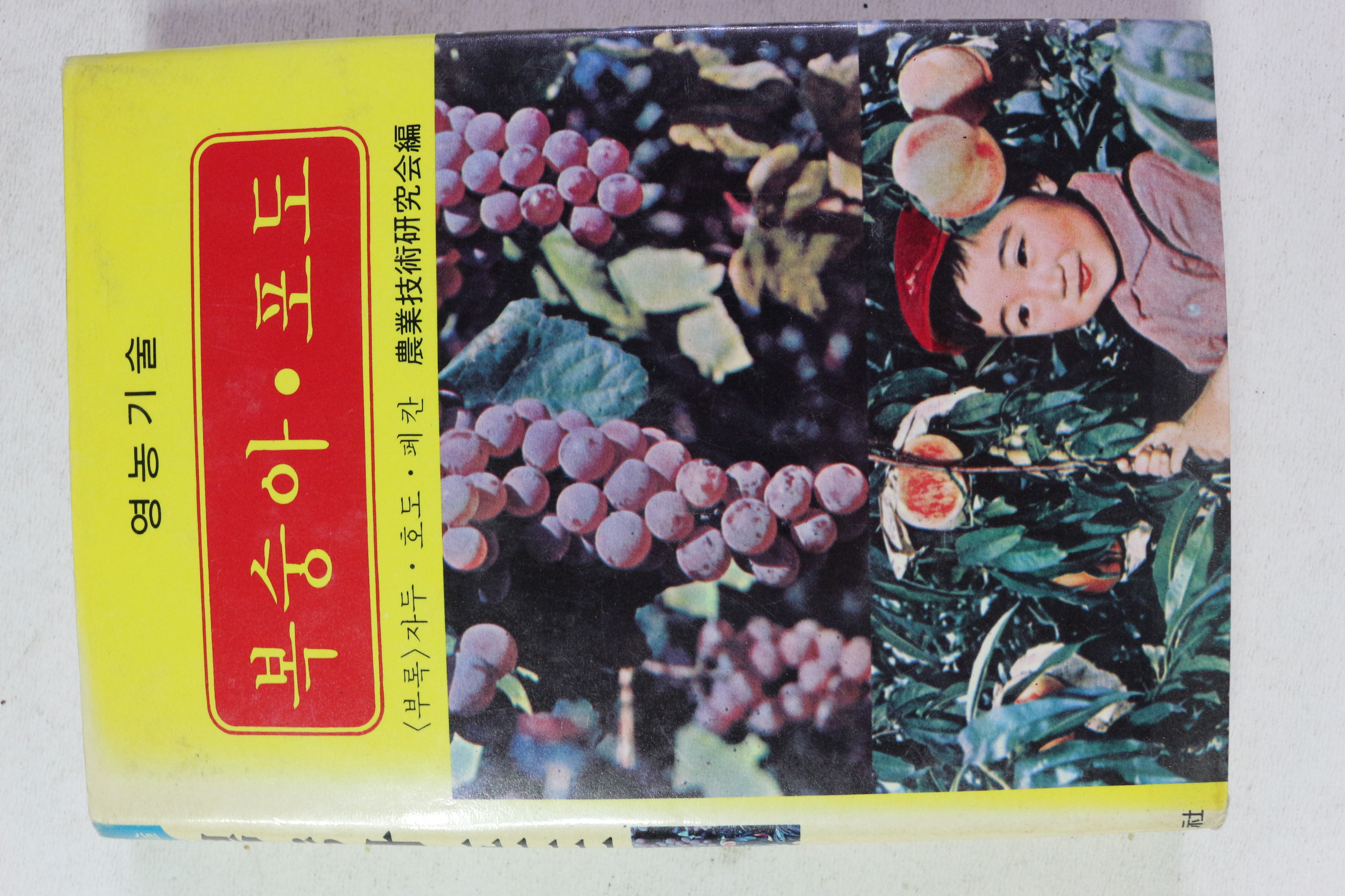 1991년 영농기술 복숭아 포도