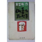 1980년 개정판 황철영(黃哲暎)소설 어둠의 자식들