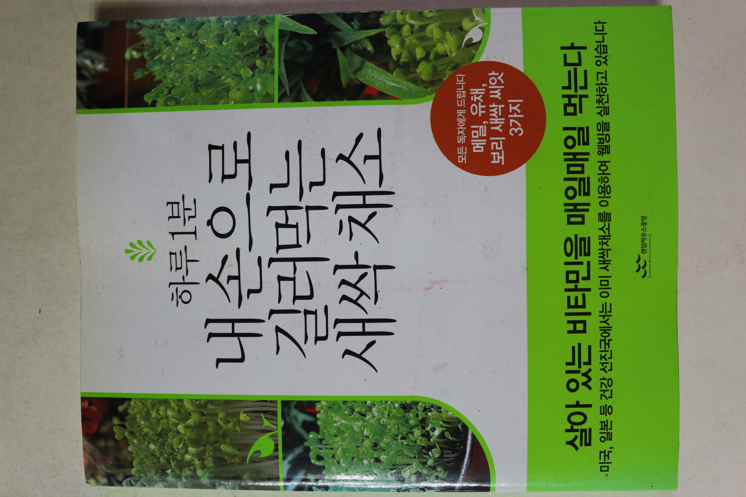 2005년초판 하루1분 내손으로 길러먹는 새싹채소