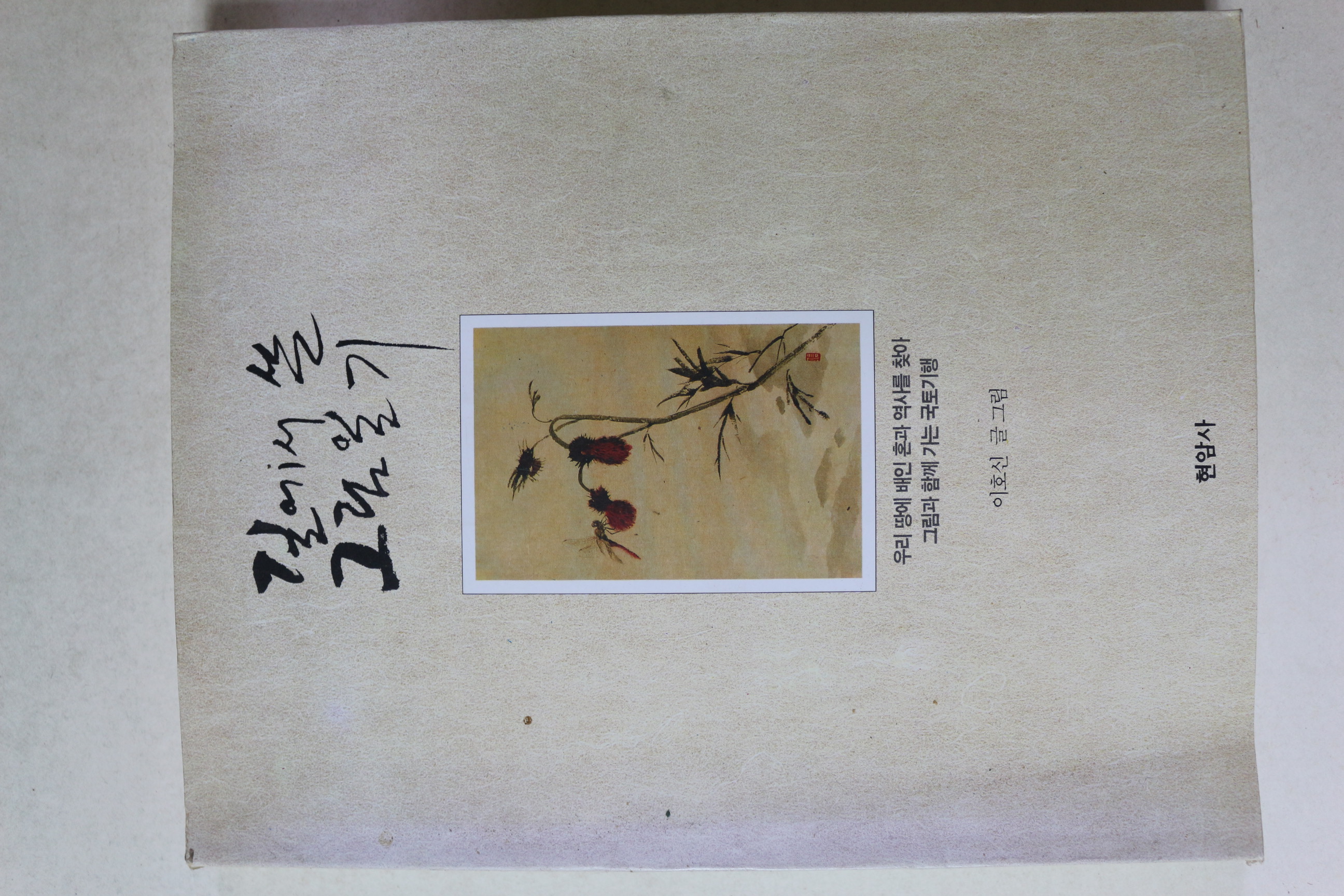 1997년 이호신 길에서 쓴 그림일기
