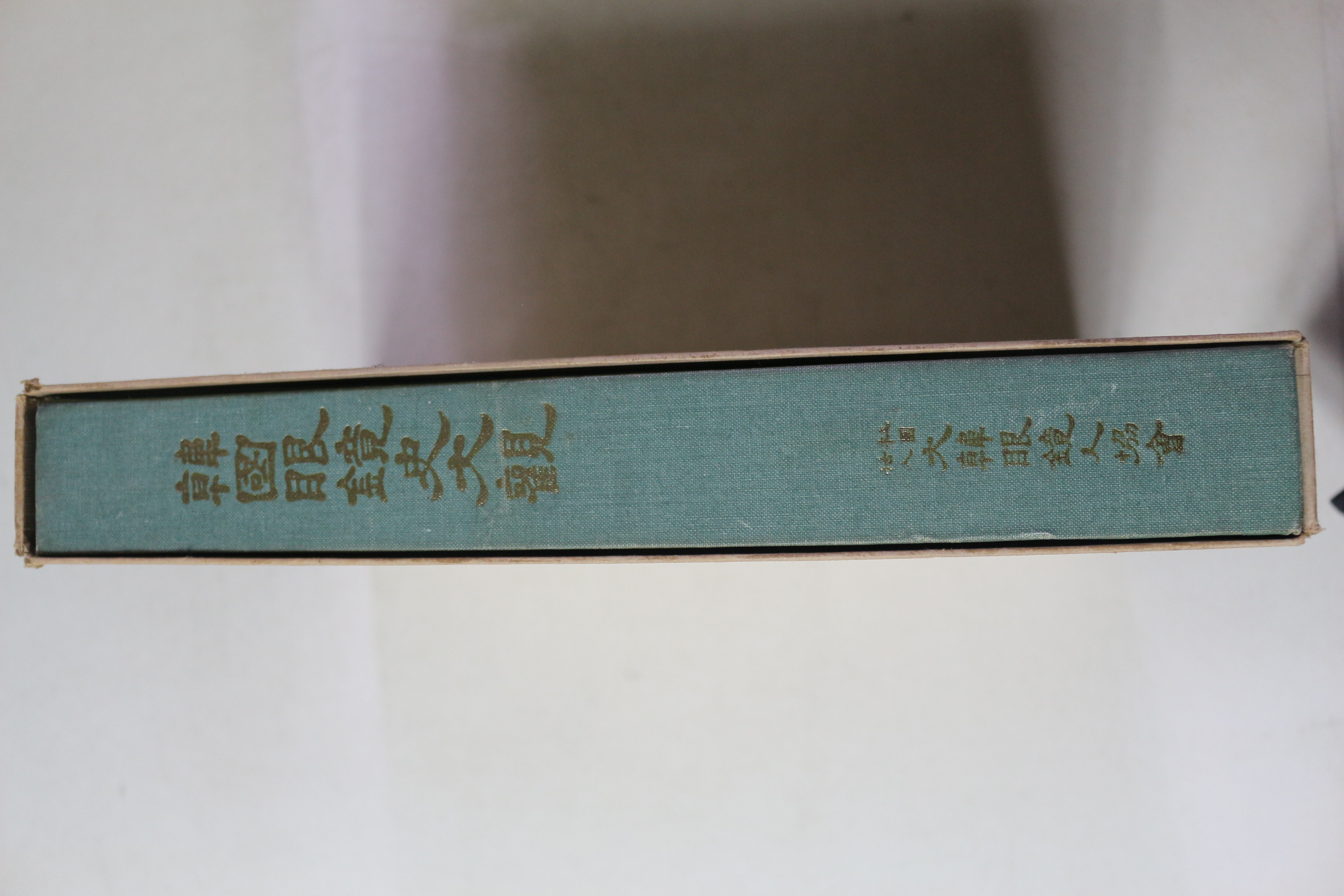 1986년 한국안경사대관