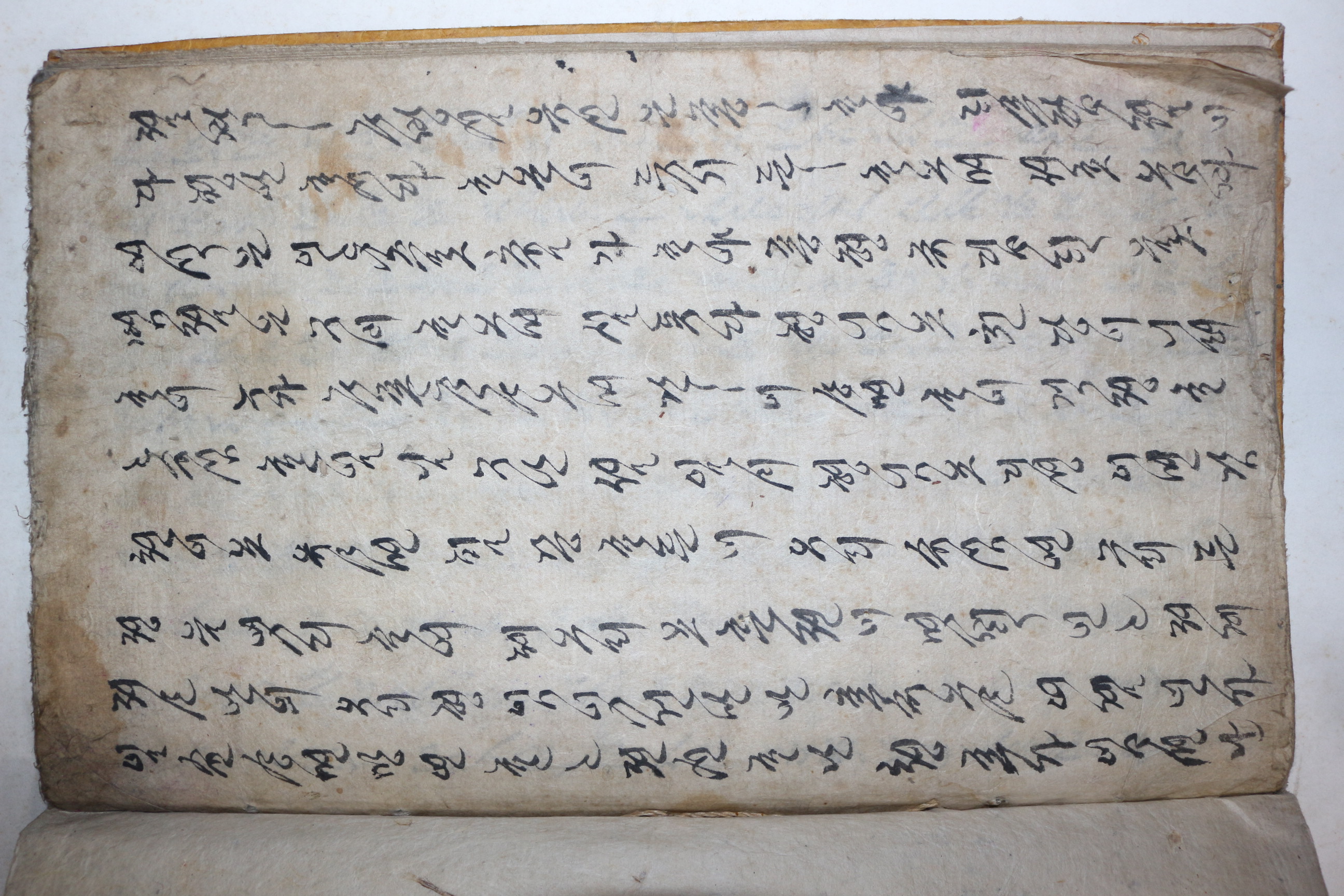 고필사본 언문 상장 1책