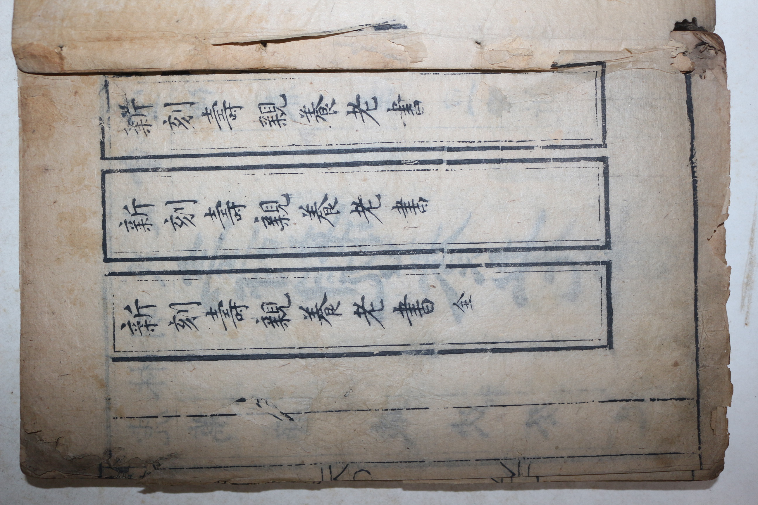 1593년(萬曆癸巳) 중국목판본 수양총서(壽養叢書)중 수관양노서(壽親養老書) 식물본초(食物本草) 1책