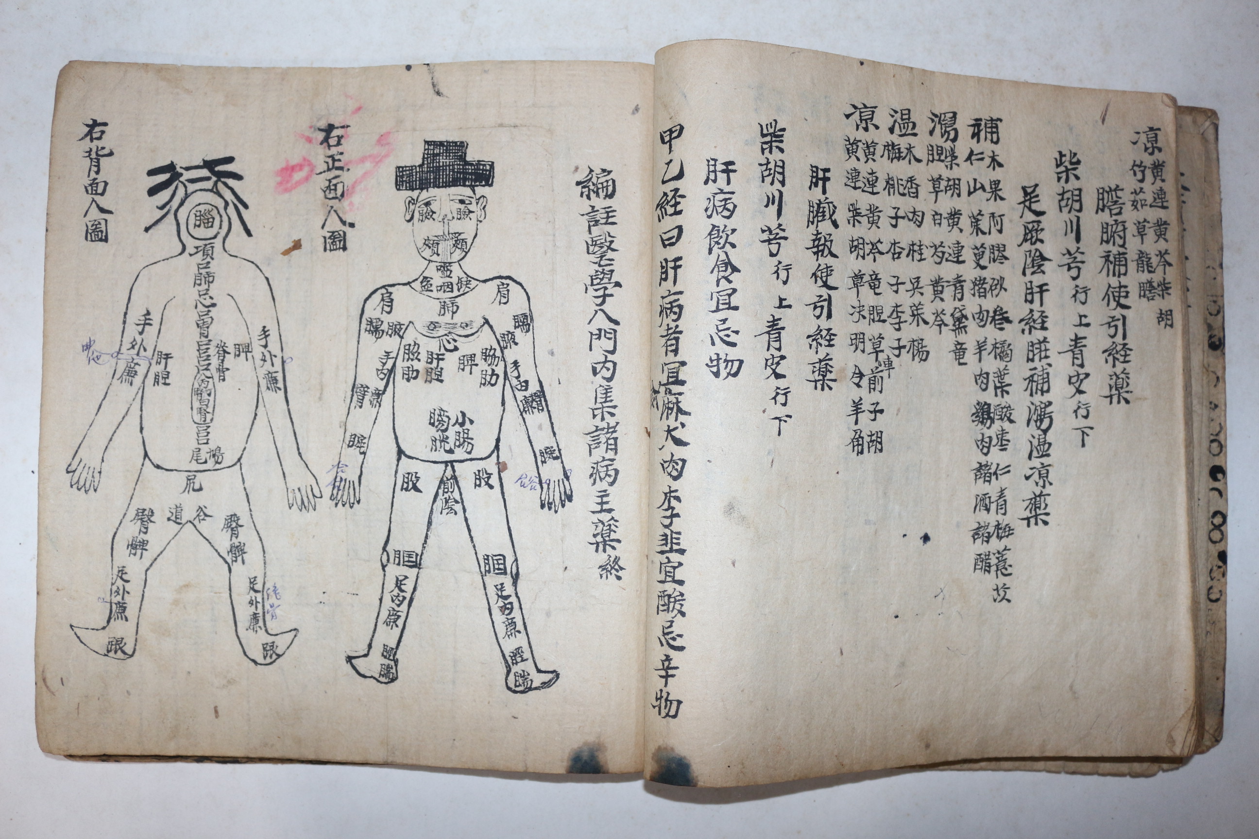 고필사본 의서 의학입문 약성가(藥性歌)