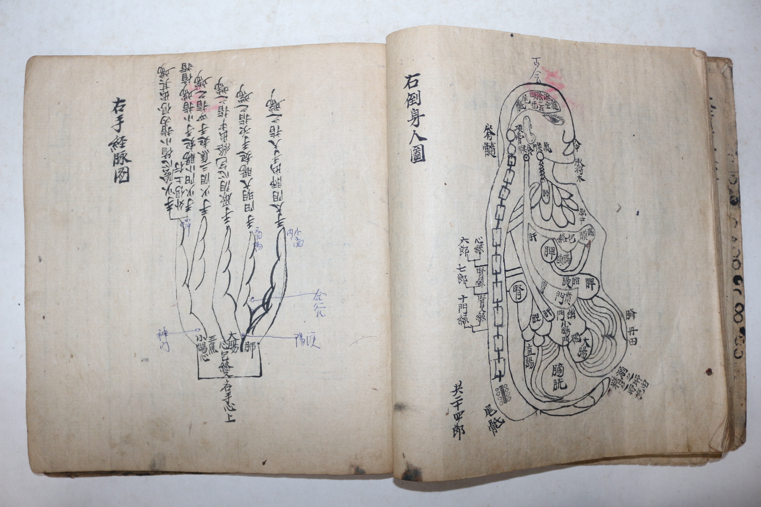 고필사본 의서 의학입문 약성가(藥性歌)