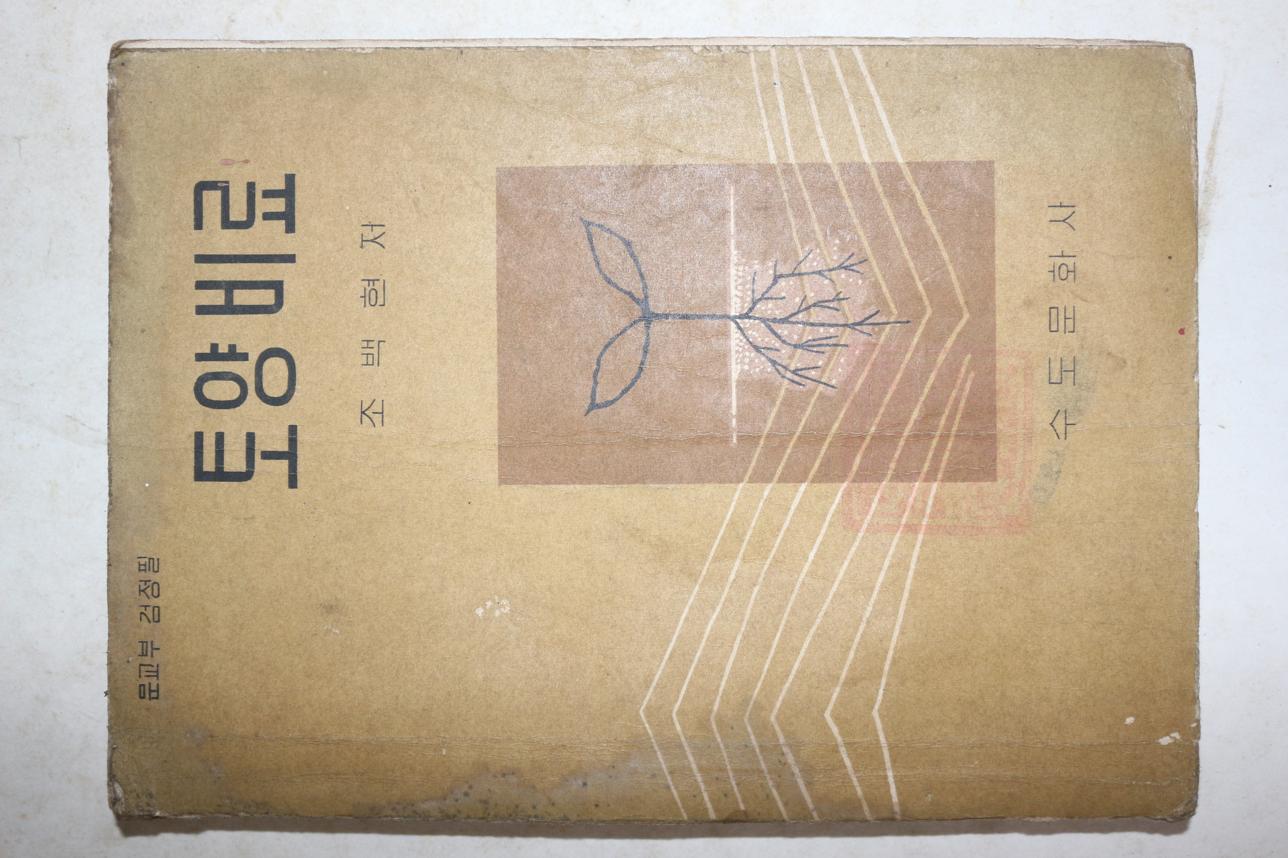 1965년 토양비료