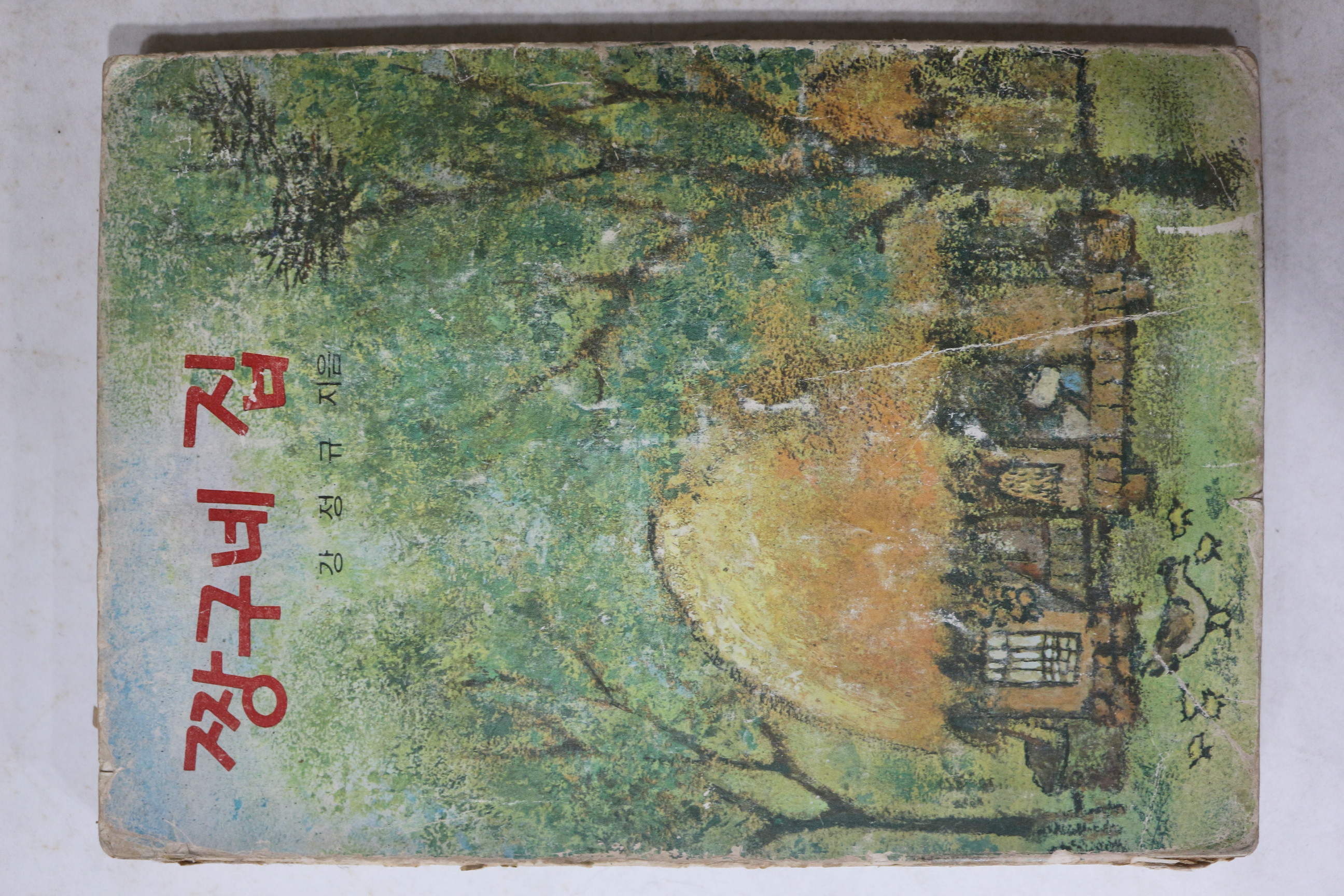 1977년 강정규 짱구네 집