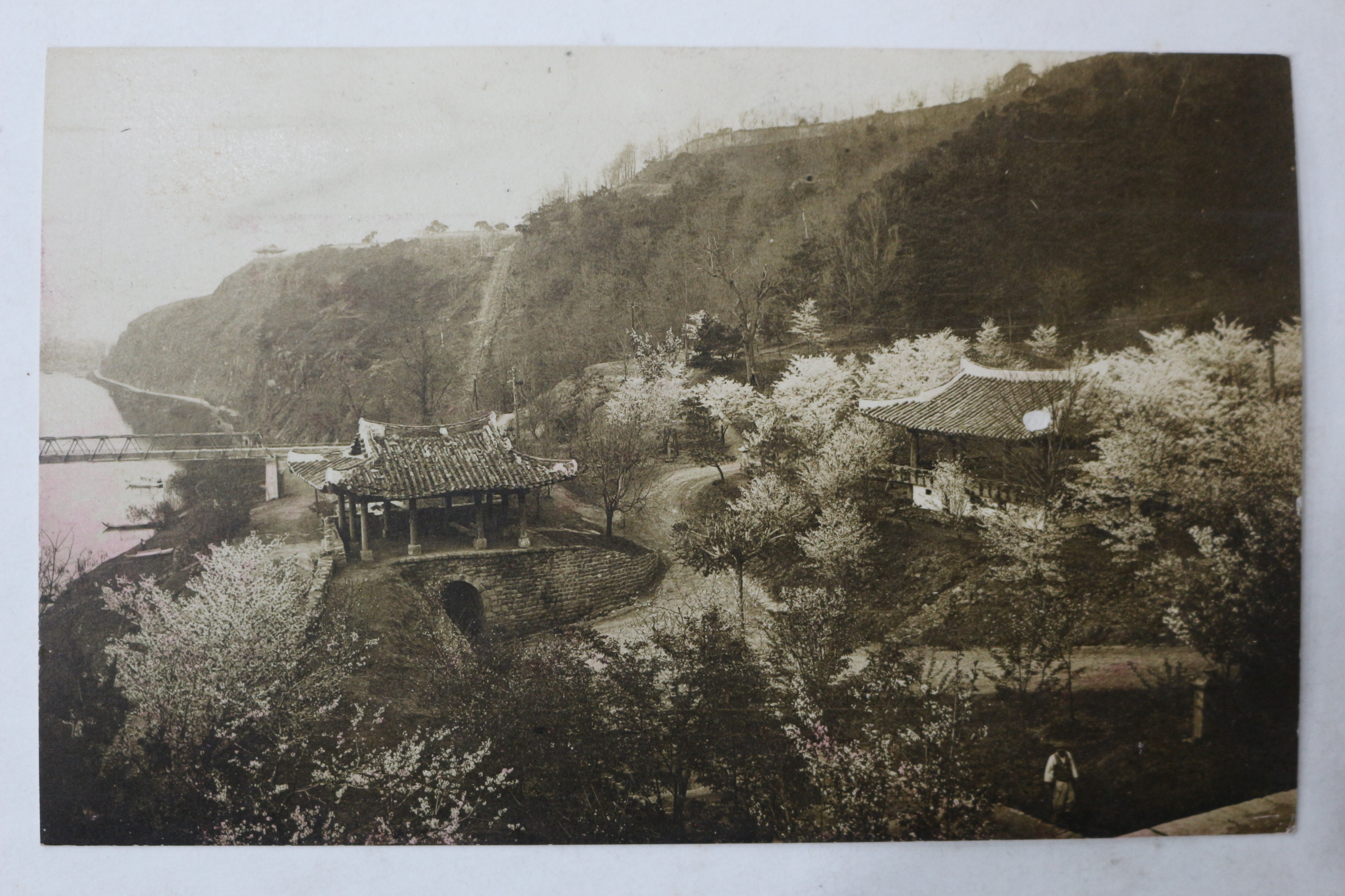 일제시기 평양 목단대 엽서