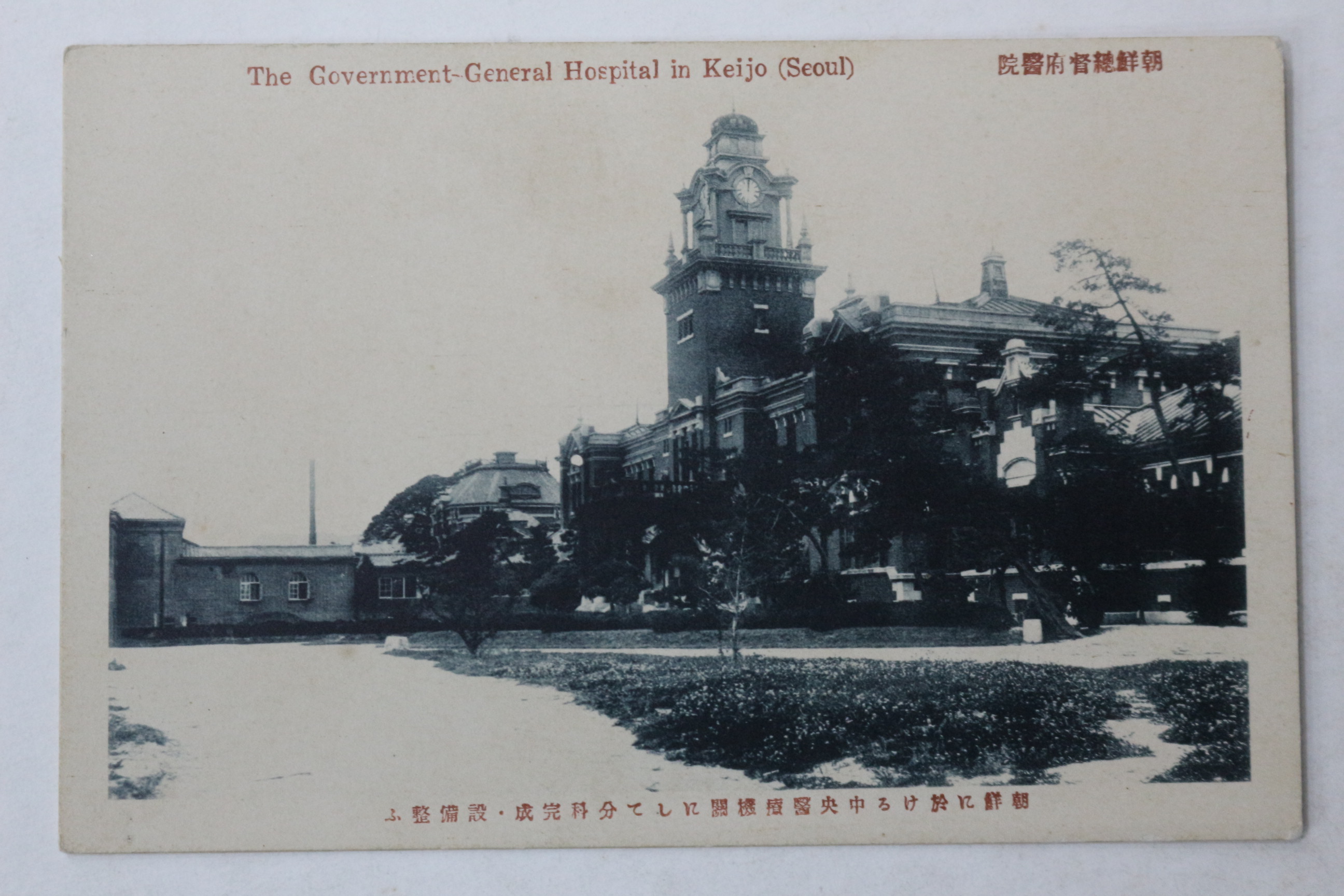 일제시기 조선 중앙의료기관 엽서