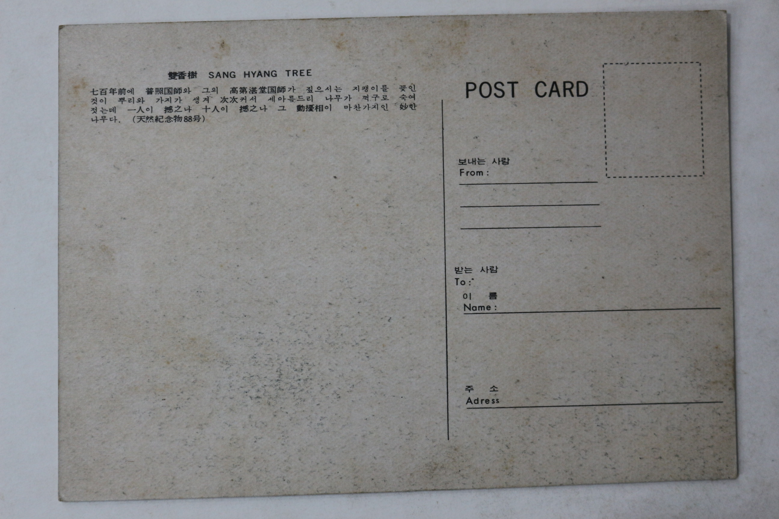 해방후 천연기념물 쌍향수 엽서