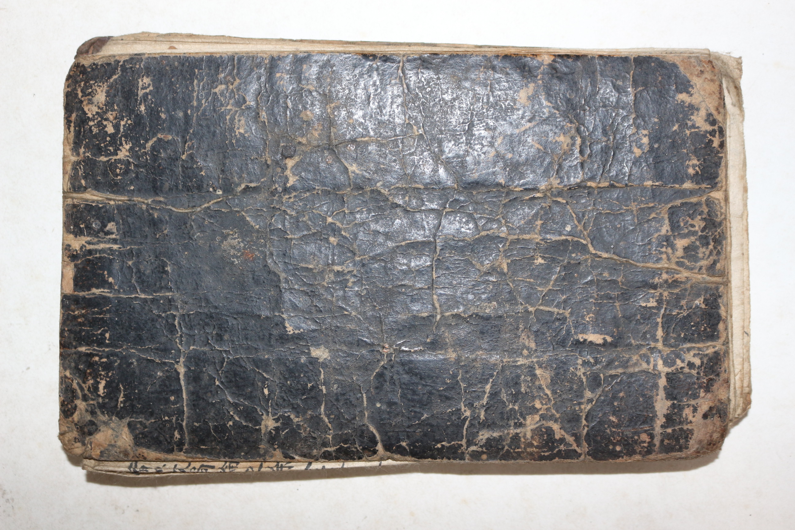 조선시대 수진절첩본 진음양식(眞陰陽式)