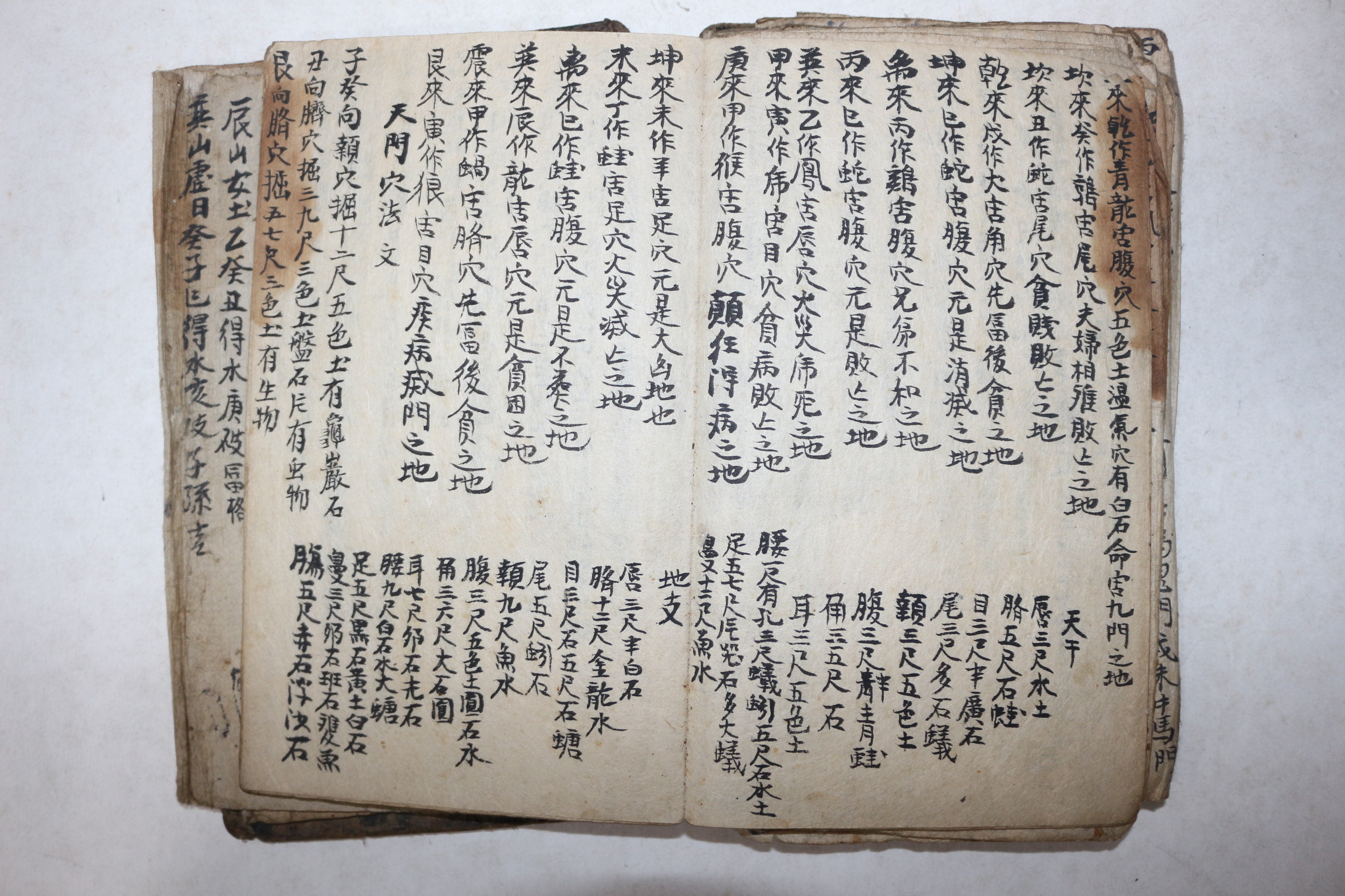 조선시대 수진절첩본 진음양식(眞陰陽式)