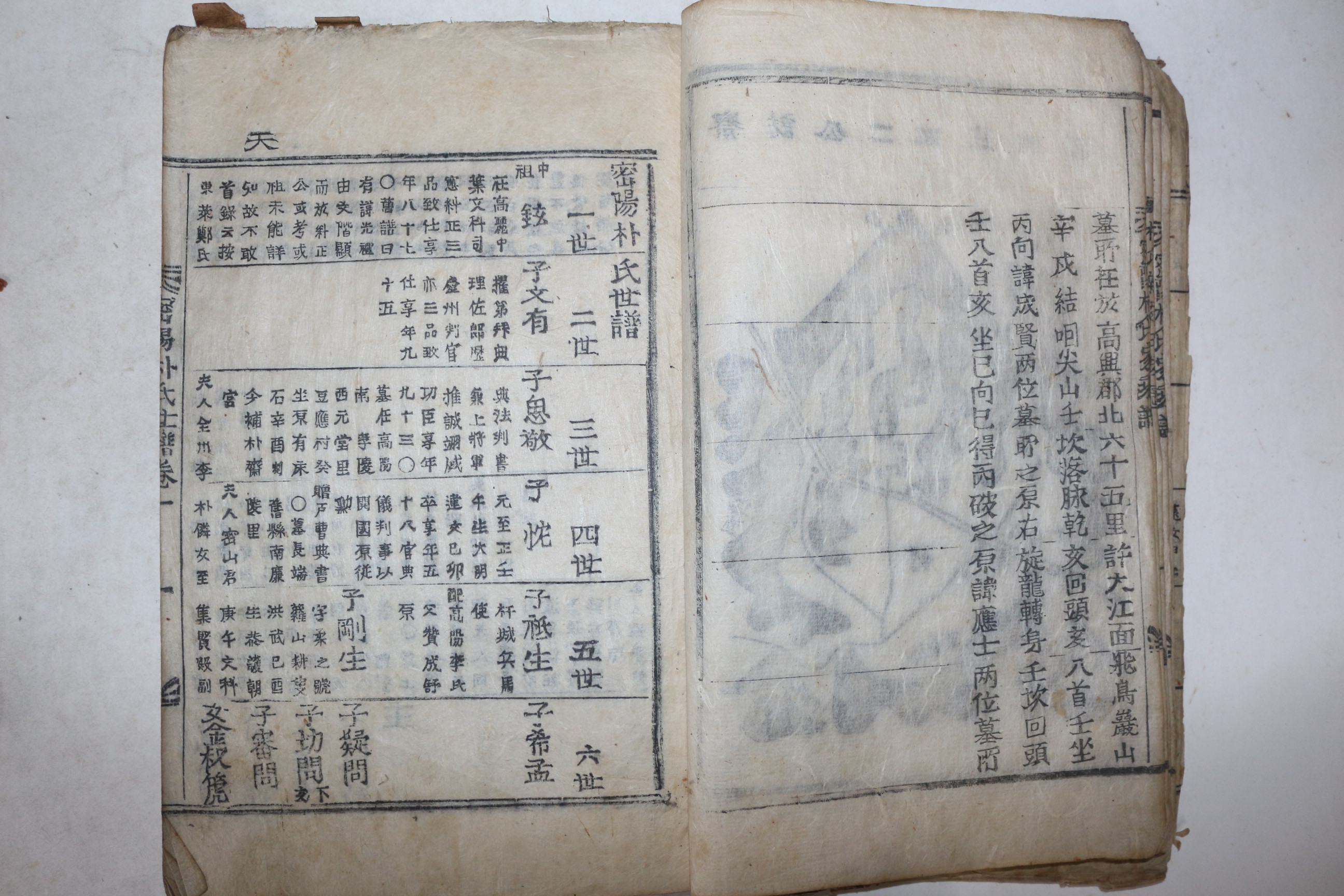 1894년 목활자본 밀양박씨가승보(密陽朴氏家乘譜) 2권2책완질