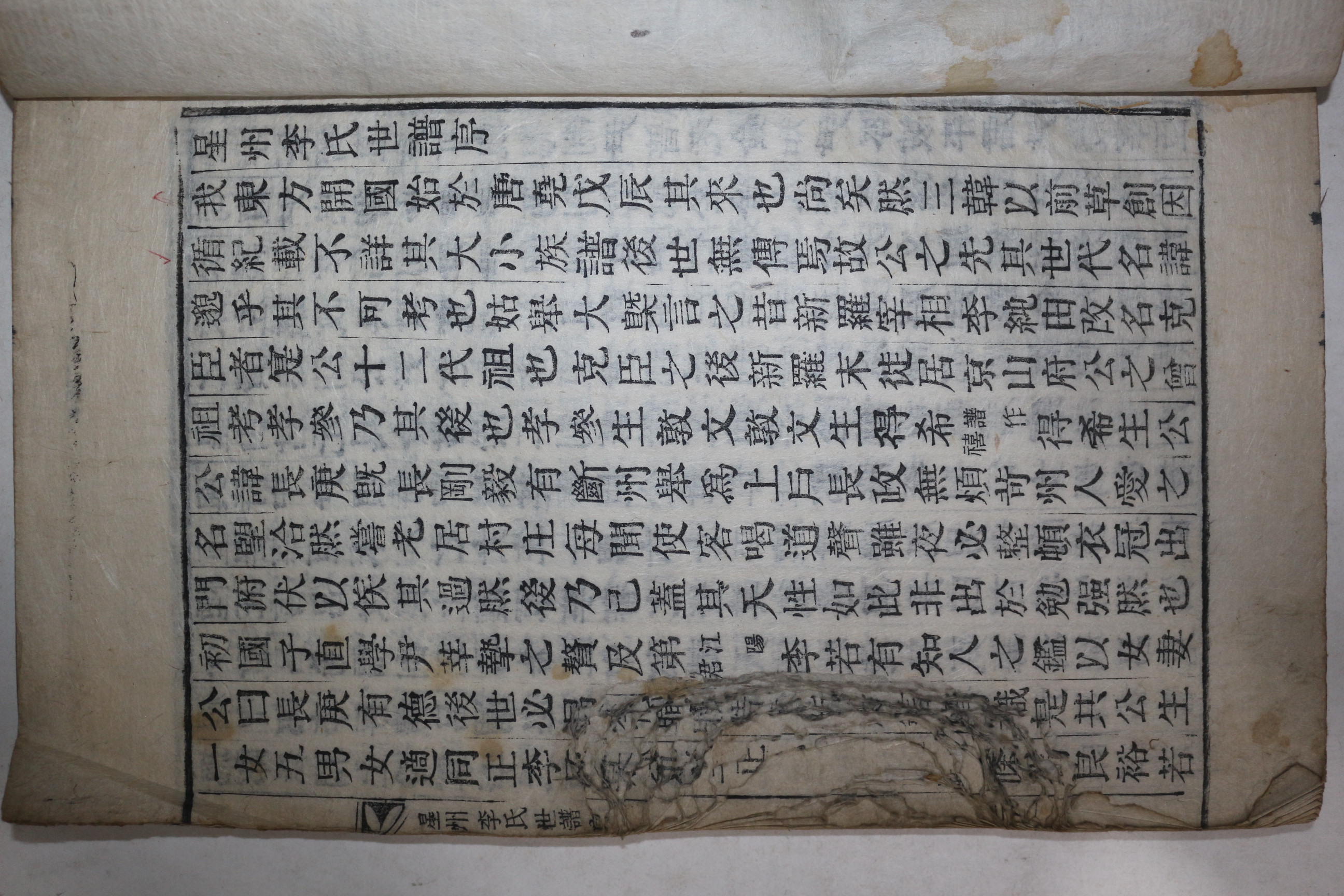 목활자본 성주이씨세보(星州李氏世譜) 수권 1책