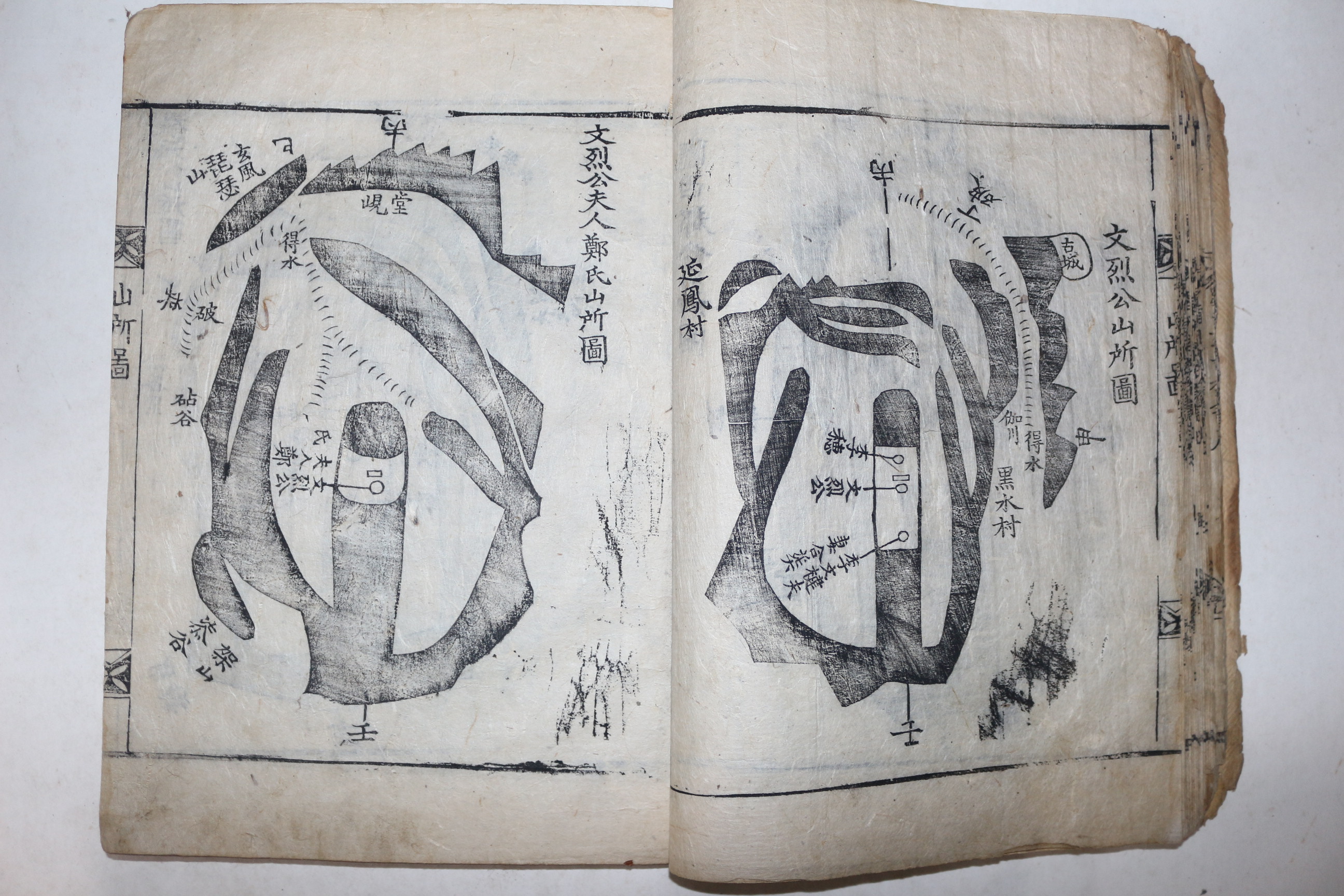 1797년 목판본 성주이씨족보(星州李氏族譜) 9책(권2  1책 낙권임)