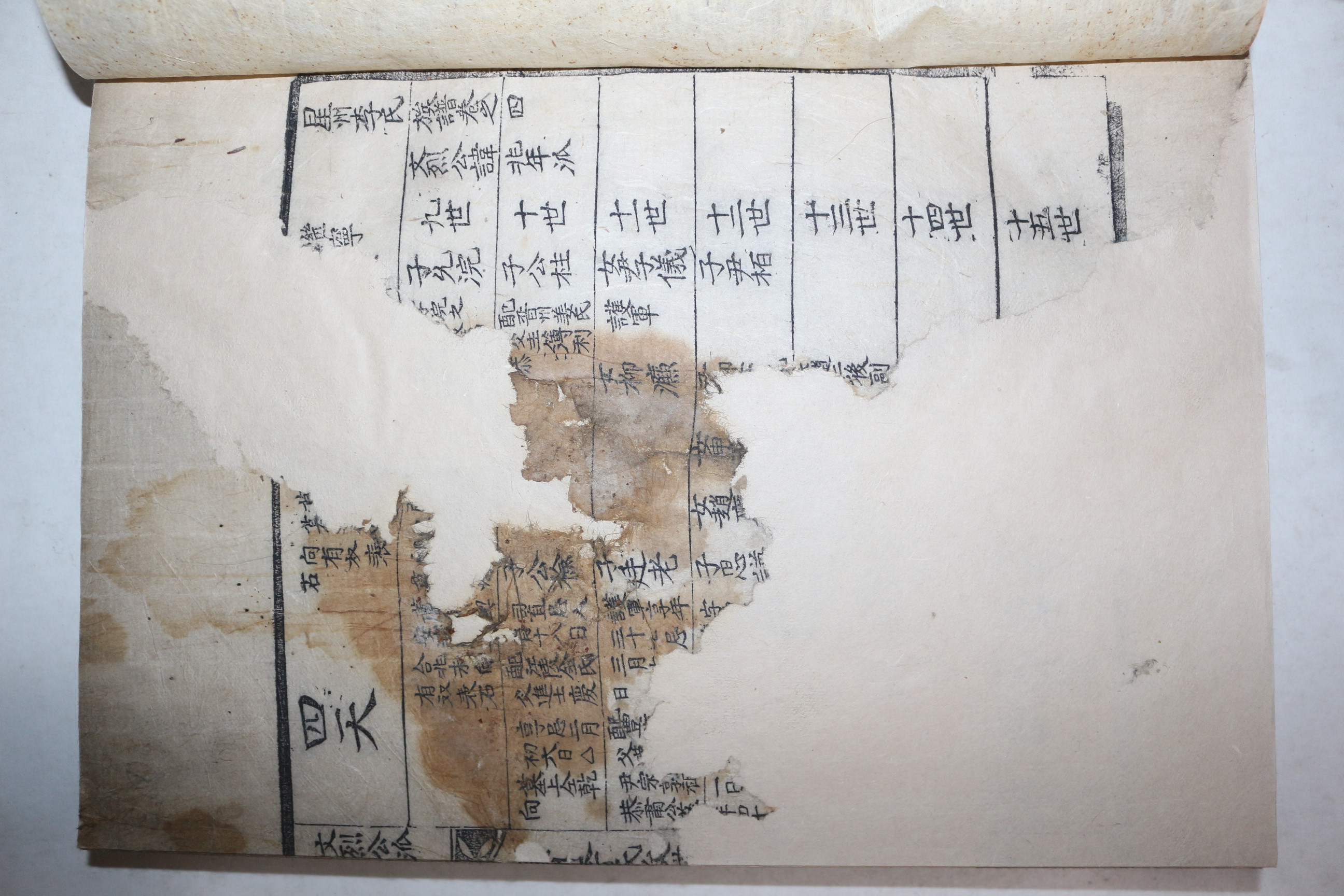 1797년 목판본 성주이씨족보(星州李氏族譜) 9책(권2  1책 낙권임)