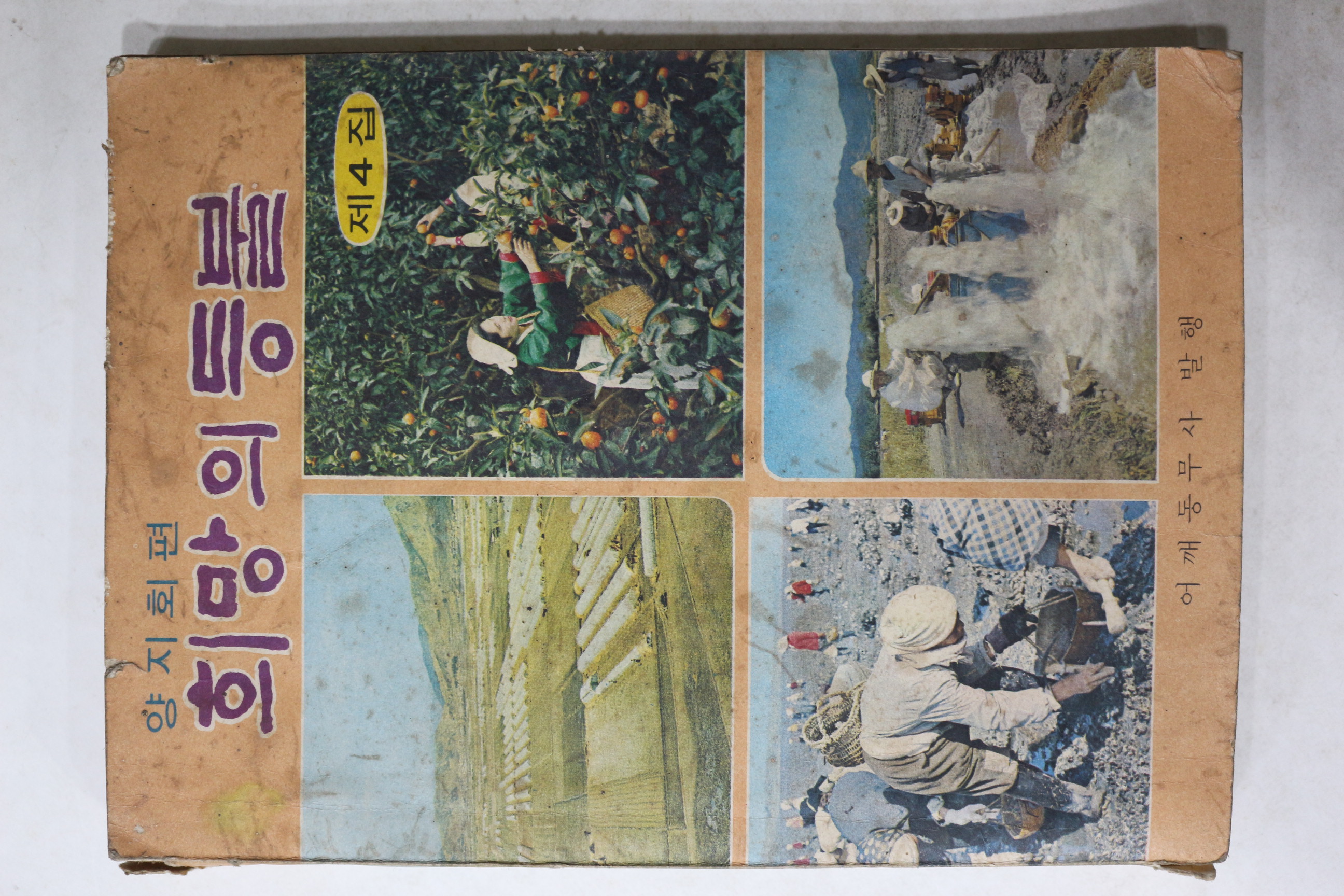 1971년 양지회편 희망의 등불 제4집