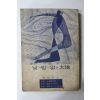 1967년 곽병규 낮과 밤이 없는 대지