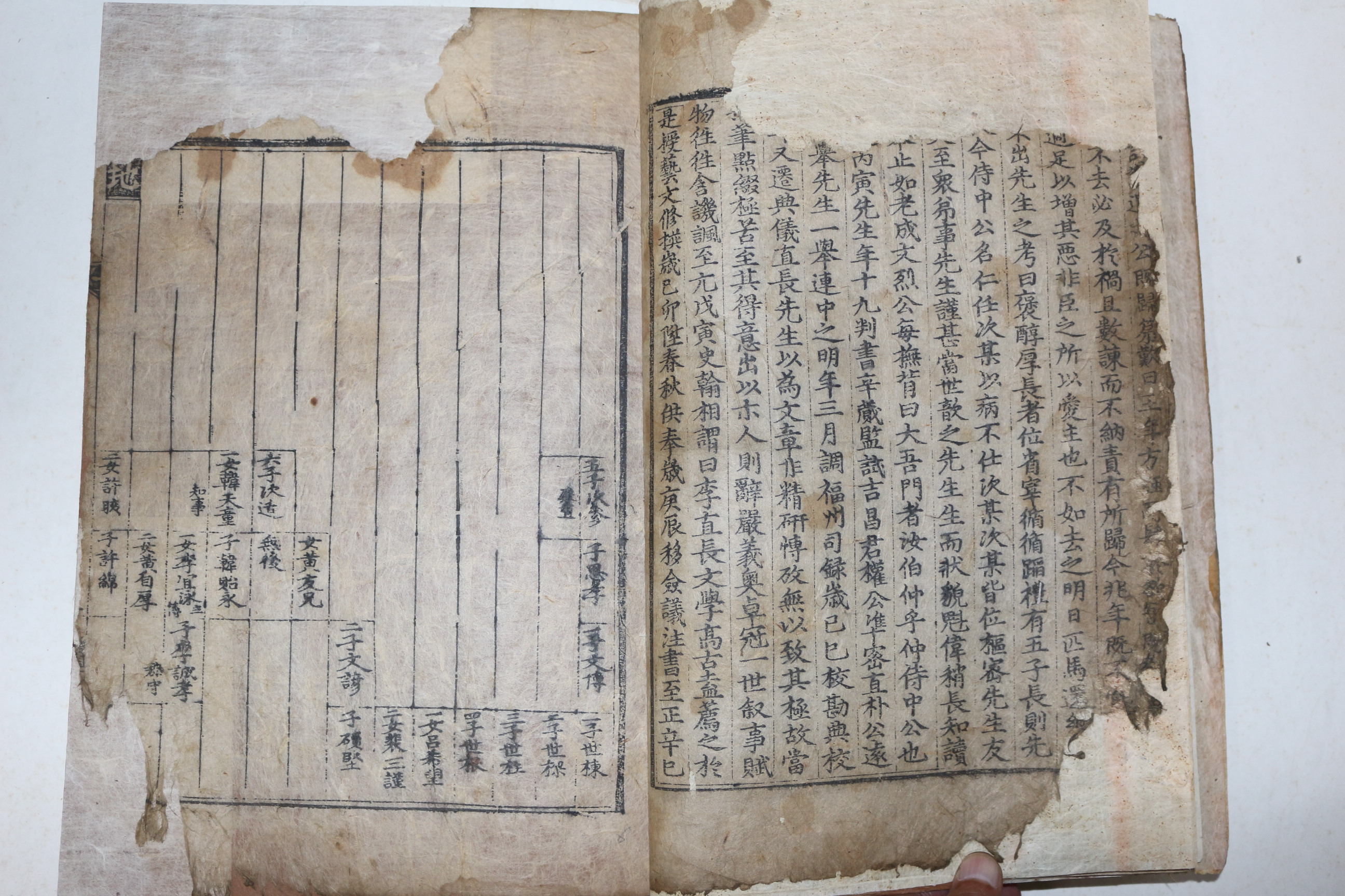 1613년(萬曆癸丑) 초간목판본 성주이씨족보(星州李氏族譜) 1책완질