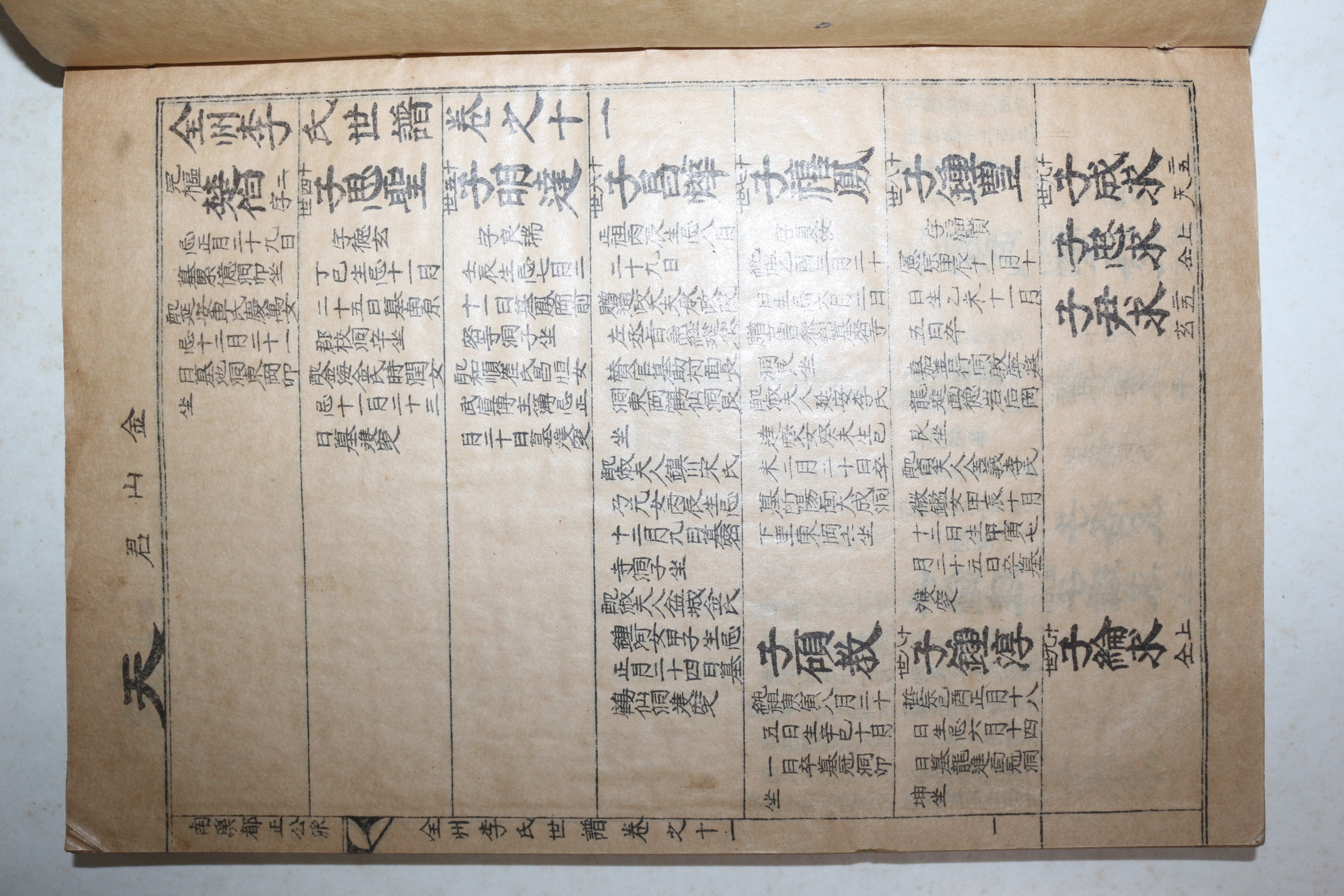 석판본 전주이씨세보(全州李氏世譜) 권11,25  2책
