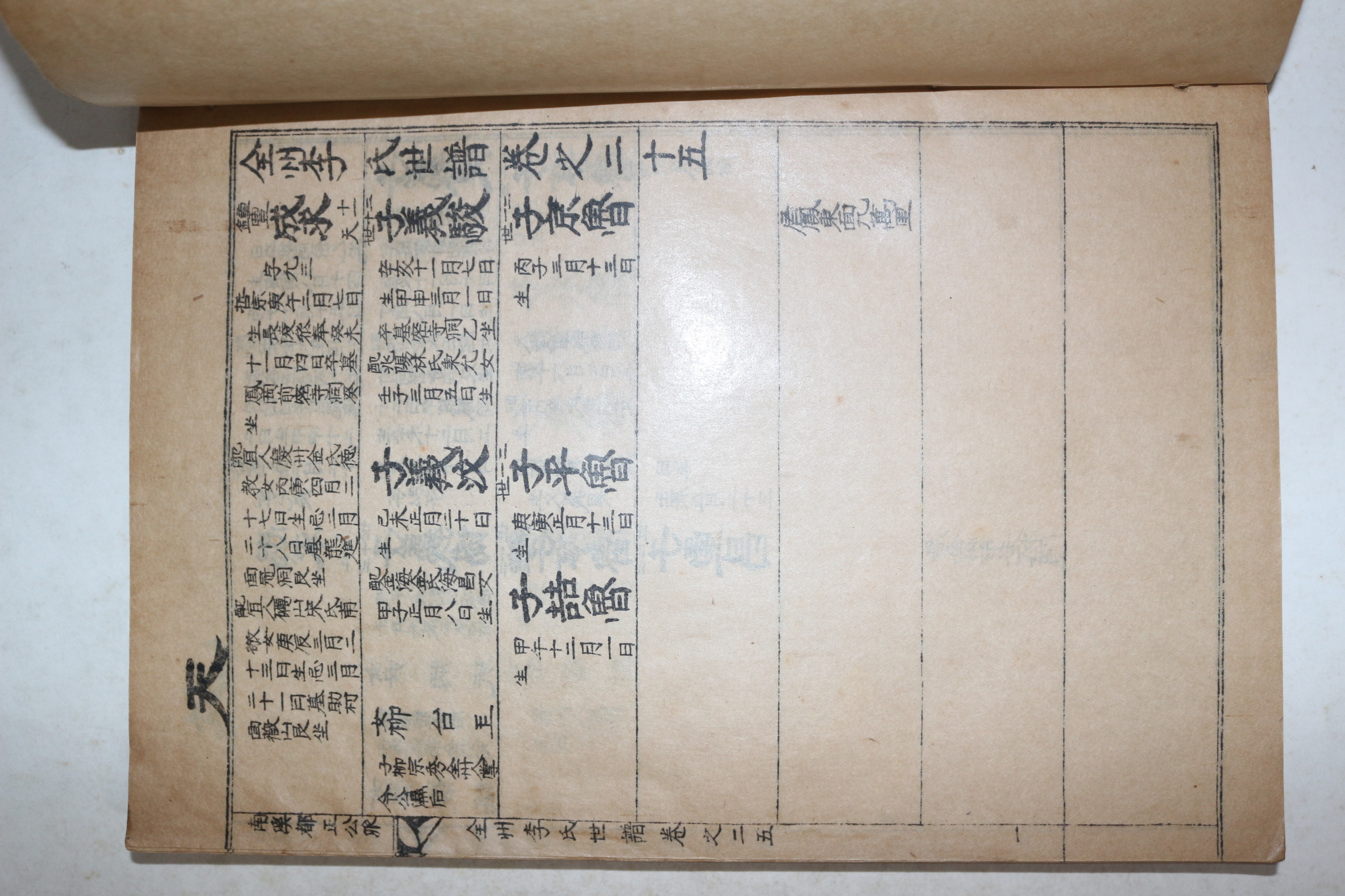 석판본 전주이씨세보(全州李氏世譜) 권11,25  2책