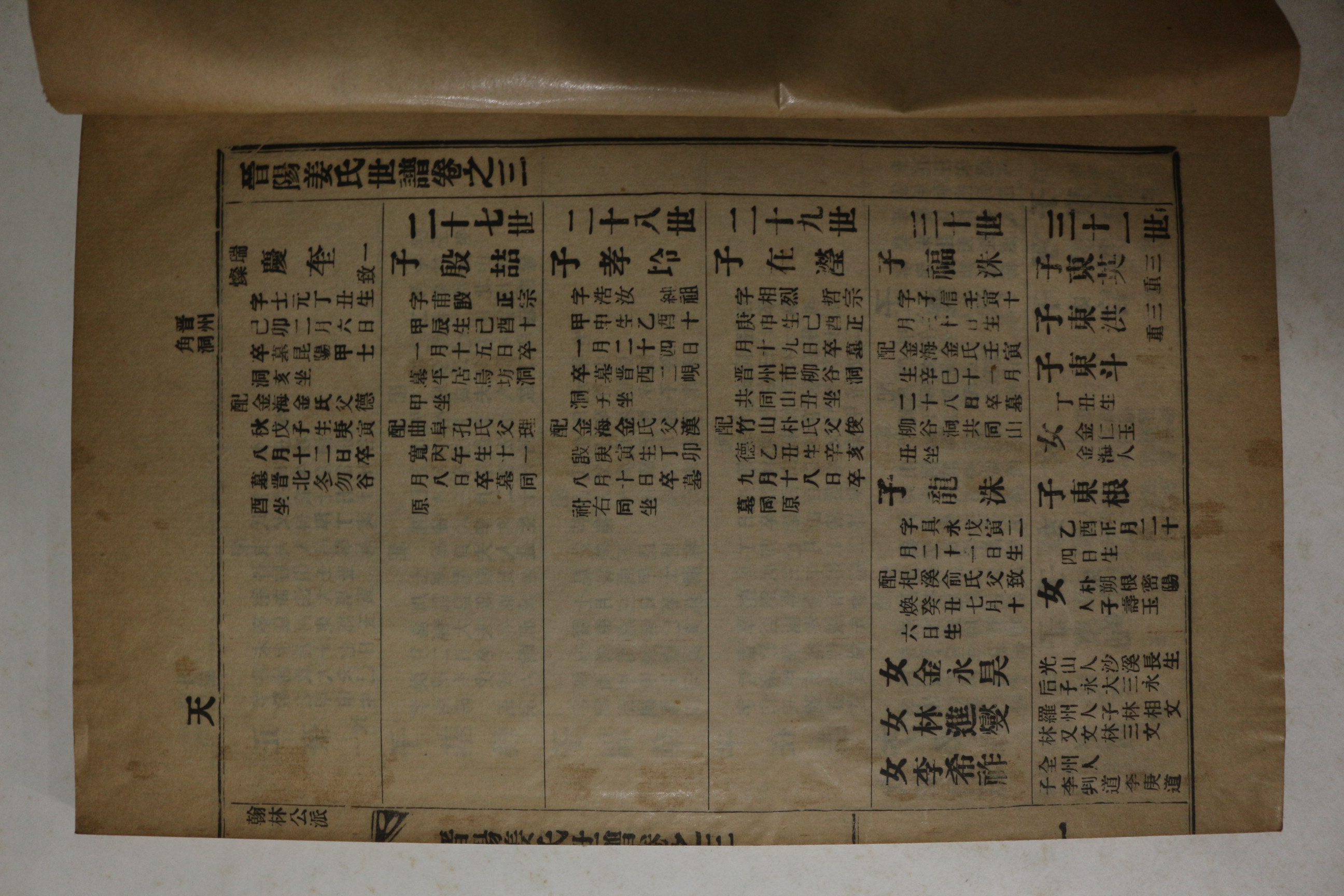 1956년 석판본 진양강씨세보(晉陽姜氏世譜) 3권3책완질
