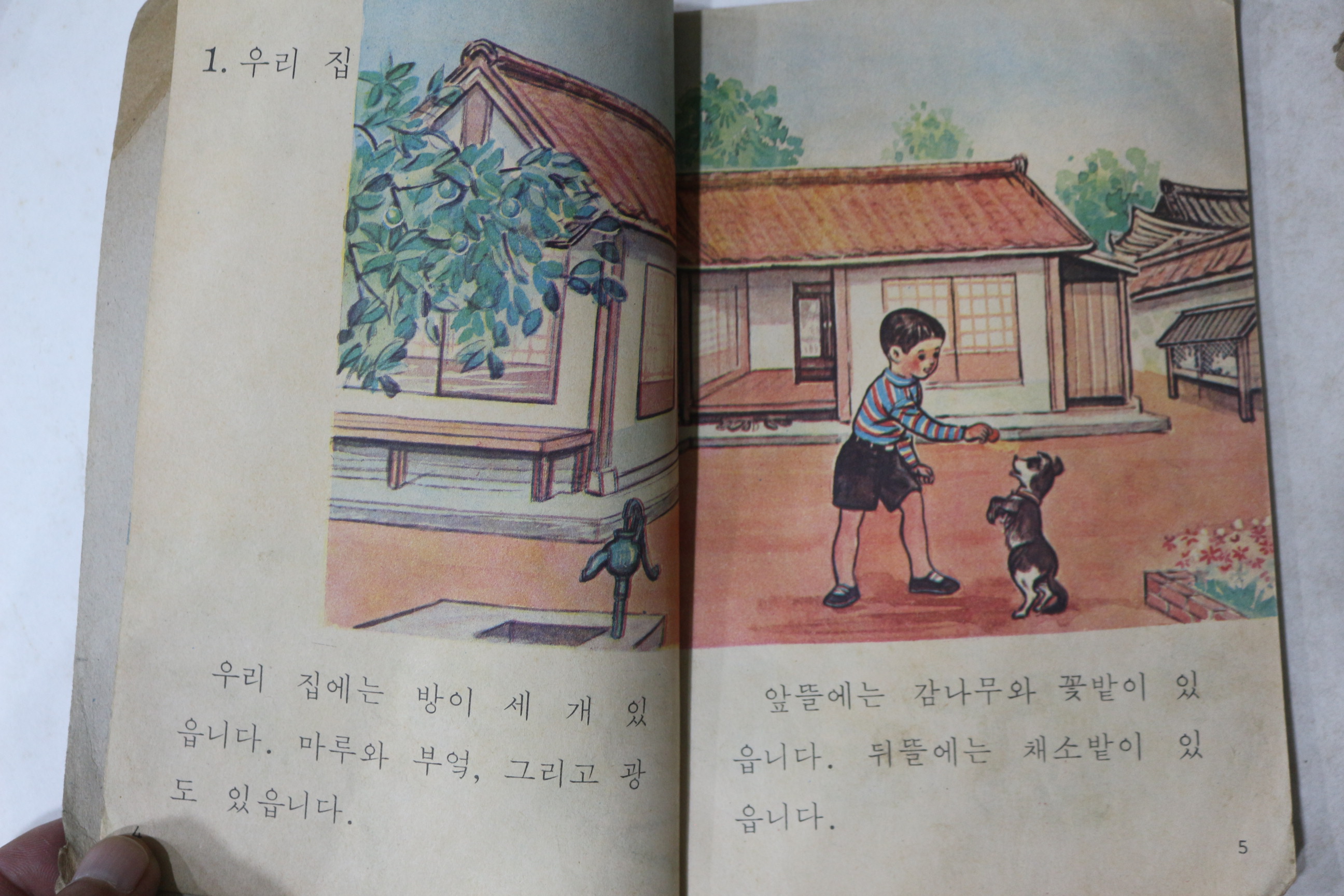1969년 사회 1-2
