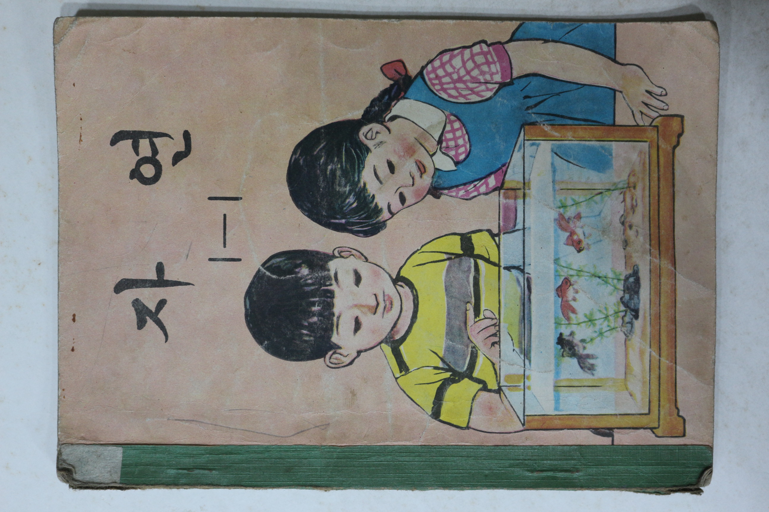1971년 자연 1-1