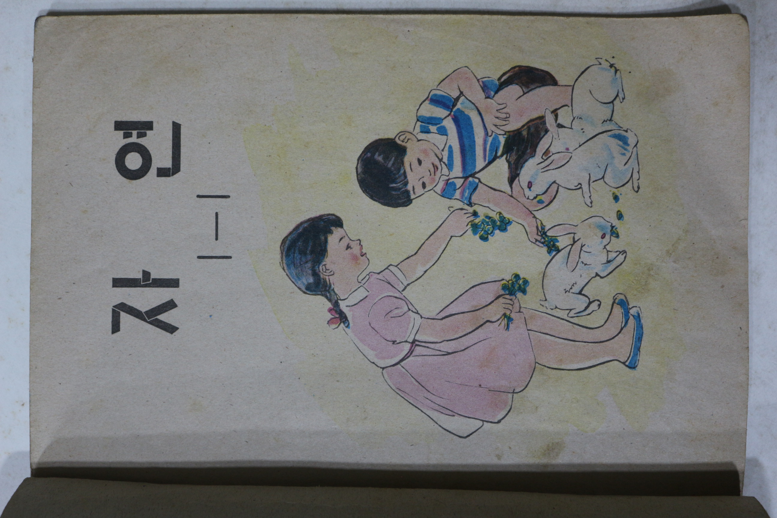 1971년 자연 1-1