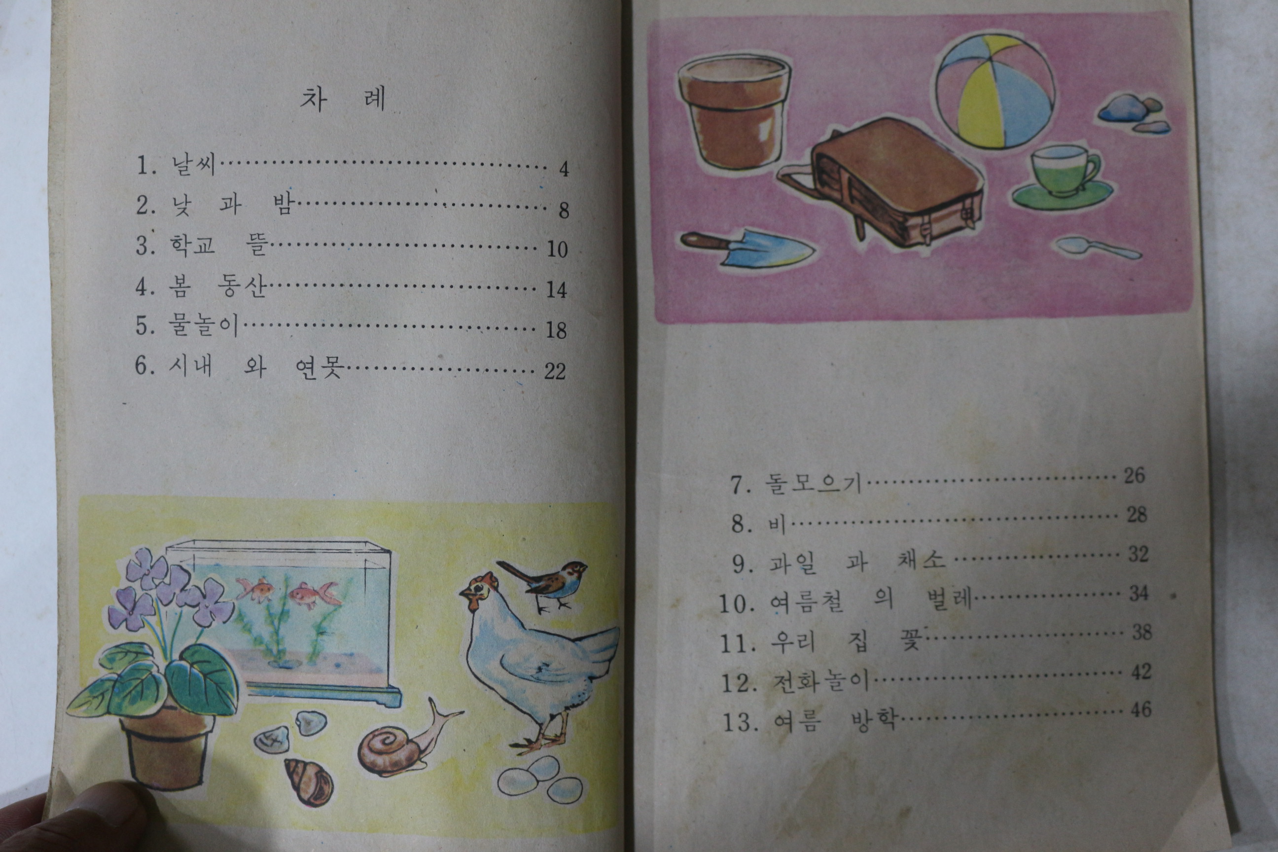 1971년 자연 1-1