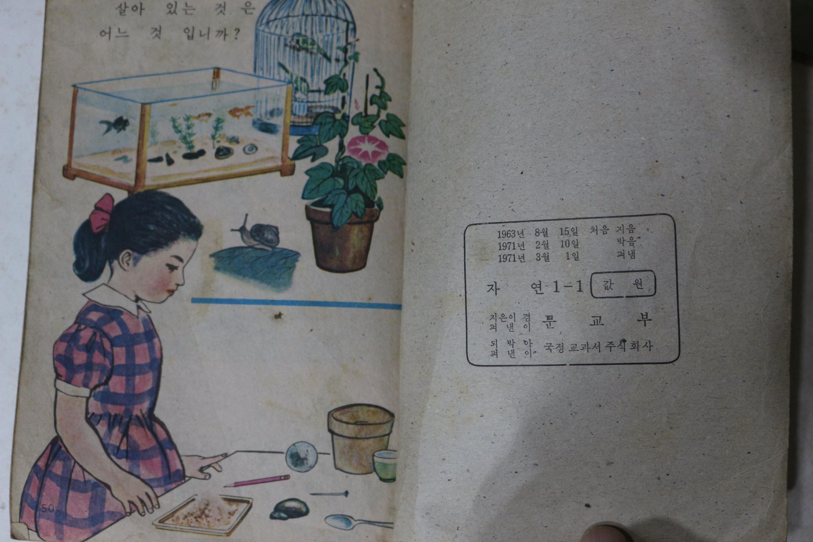 1971년 자연 1-1
