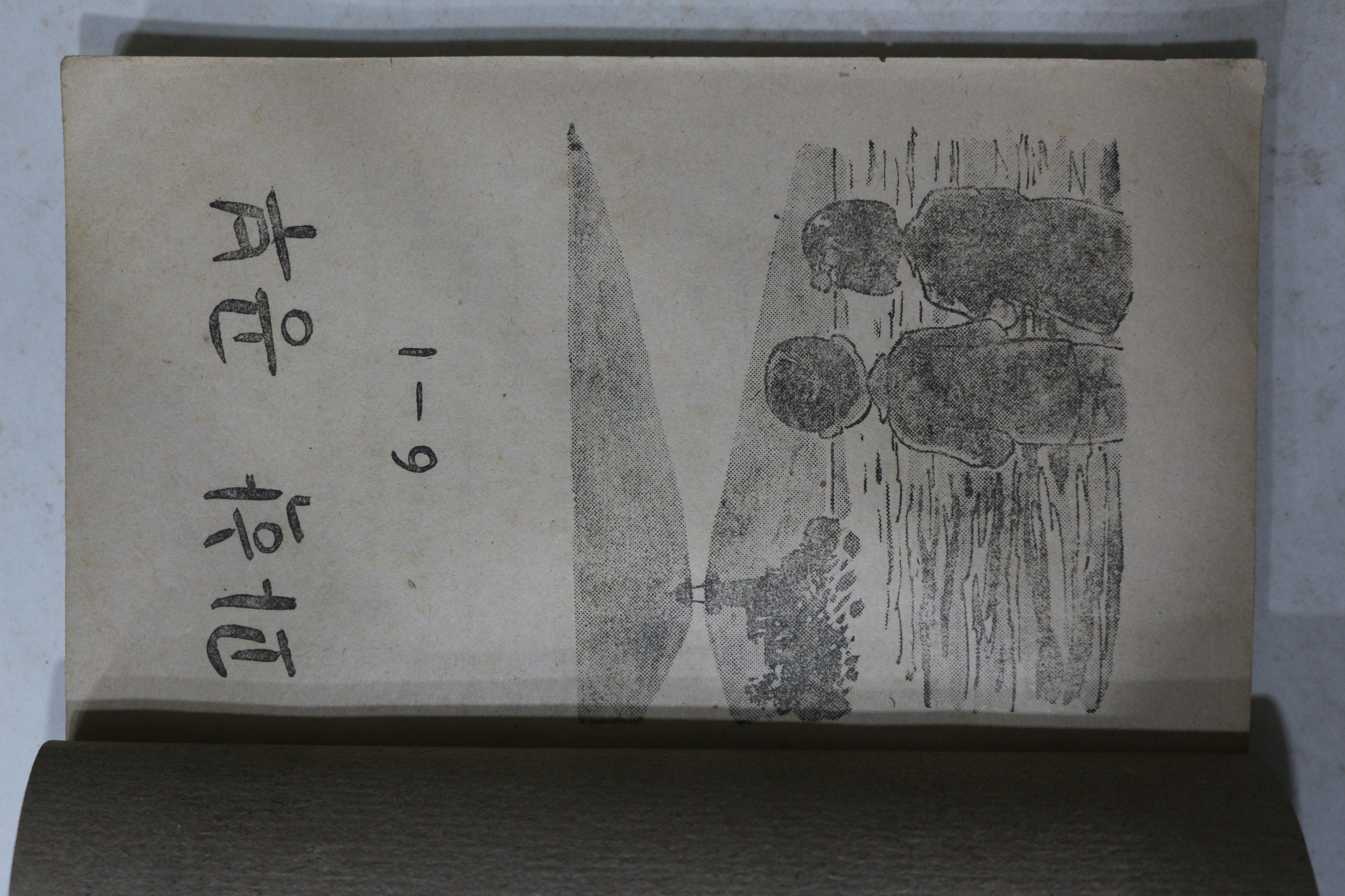 1954년(단기4287년) 운끄라교과서 과학공부 6-1