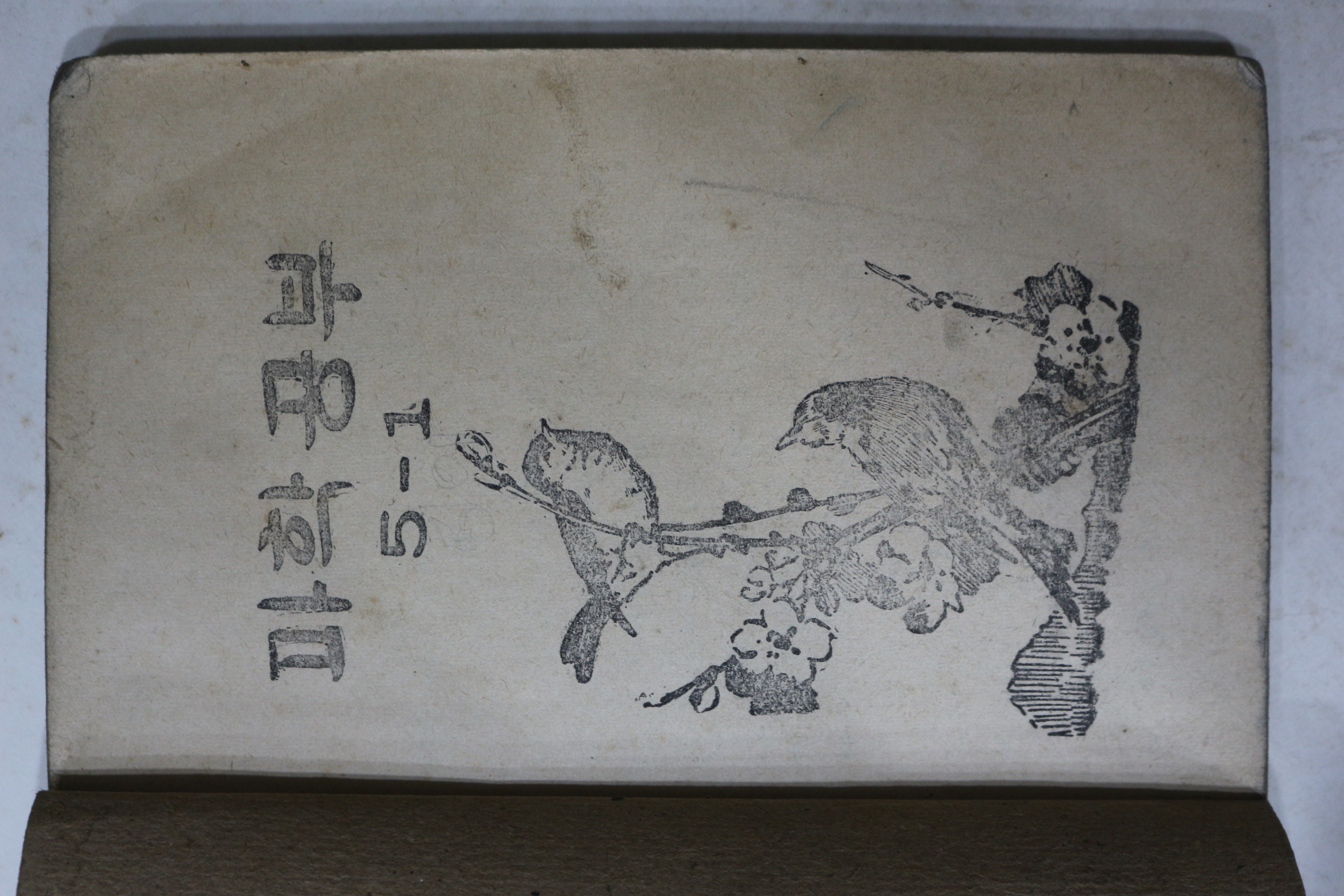 1953년(단기4286년) 운끄라교과서 과학공부 5-1