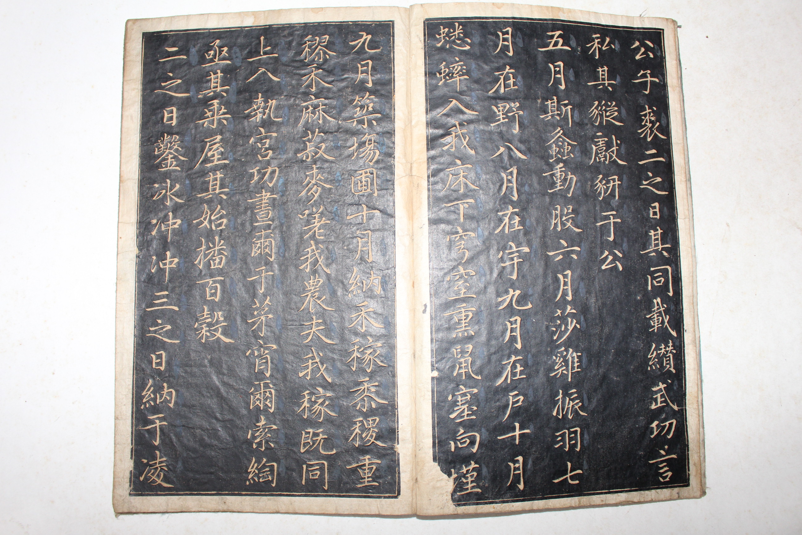 조선시대 조맹순 탁본첩 1책