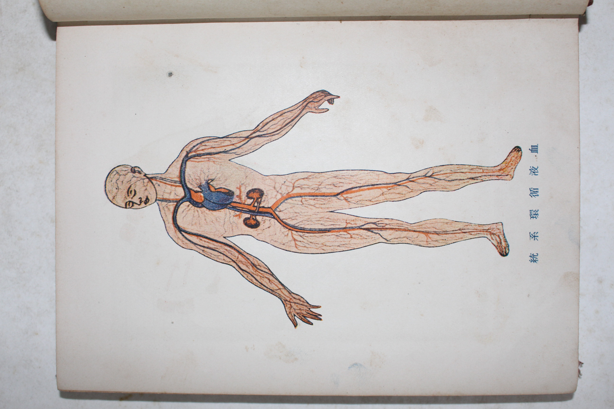 1938년(소화13년) 경성시조사 위생과 치료(衛生과 治療)