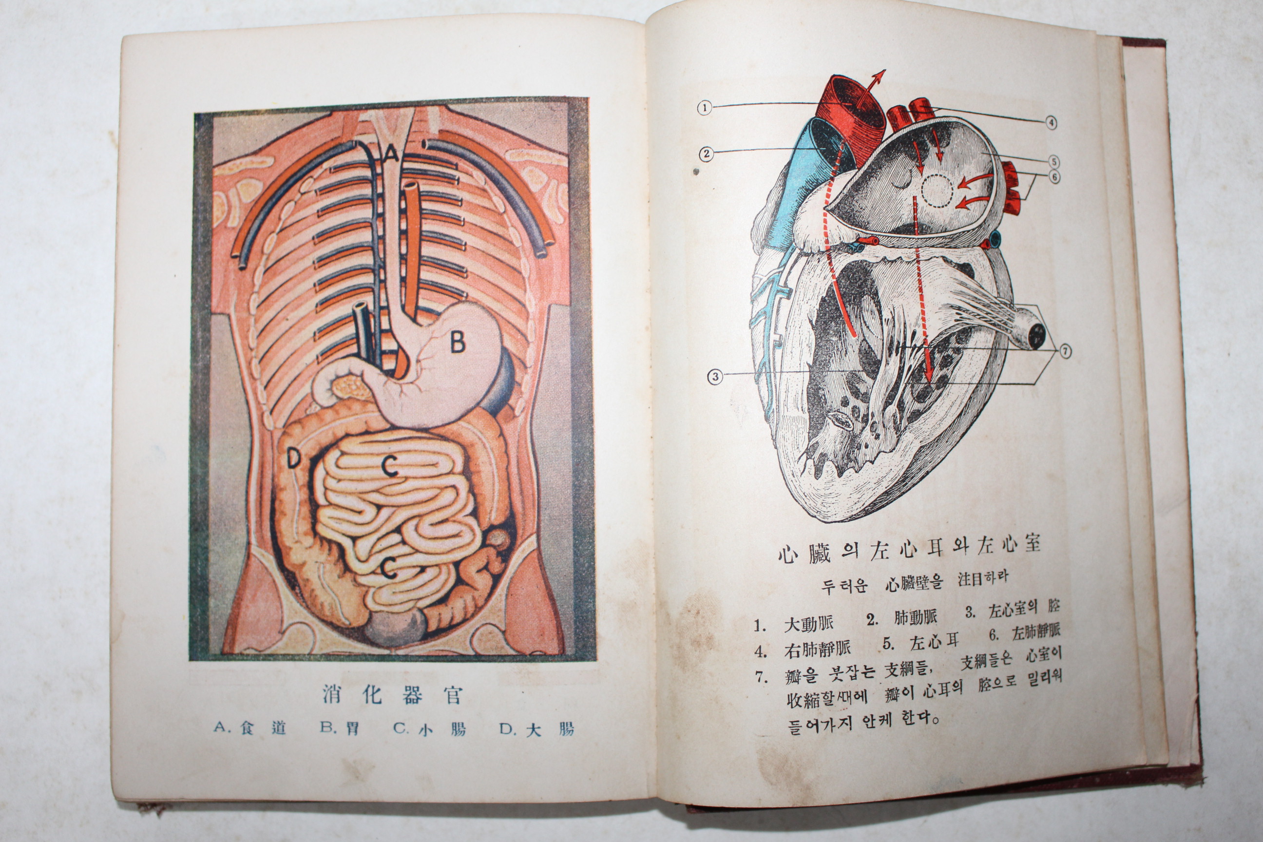 1938년(소화13년) 경성시조사 위생과 치료(衛生과 治療)