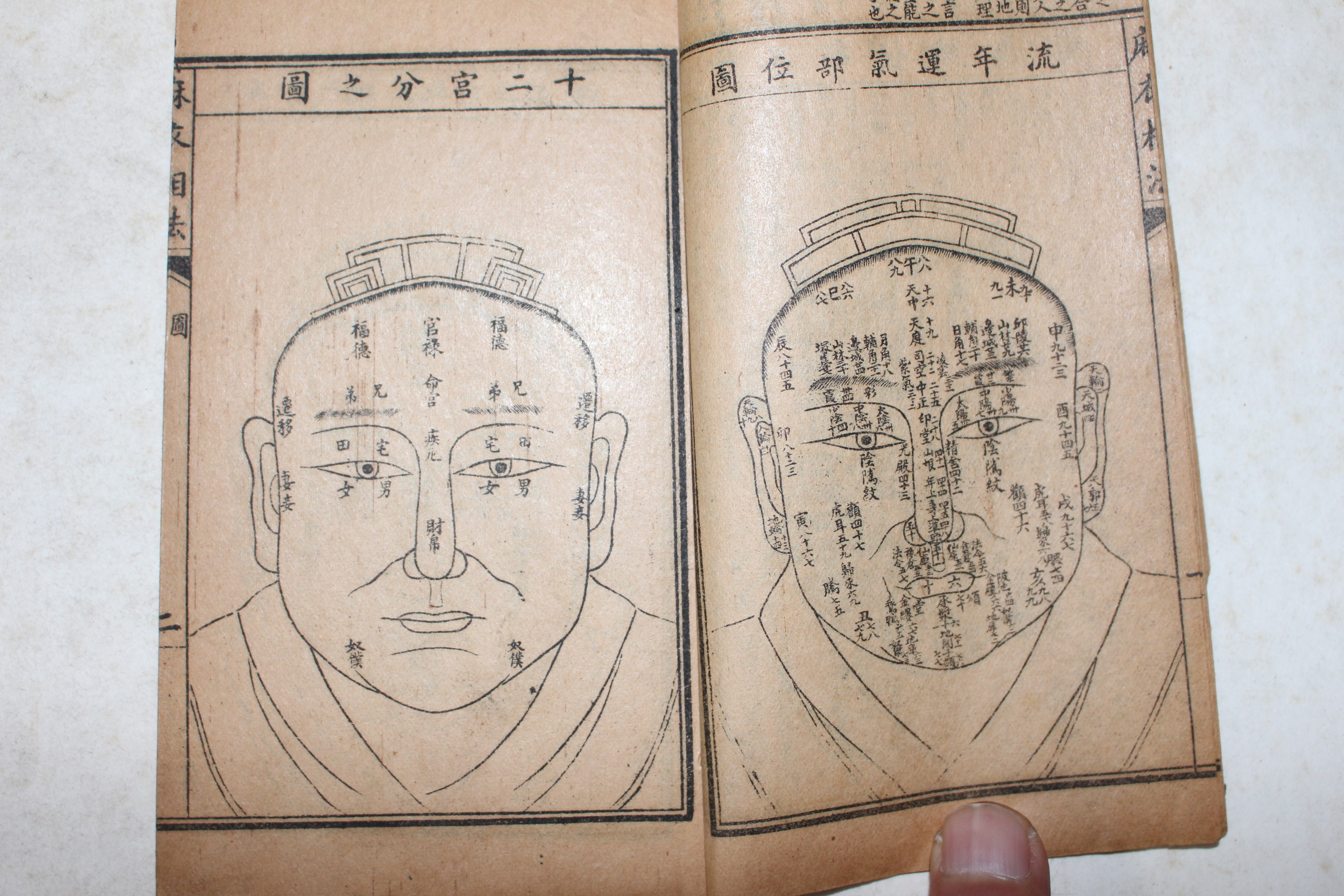1924년 중국상해본 증석마의상법전편(增釋麻衣相法全編)  4책완질