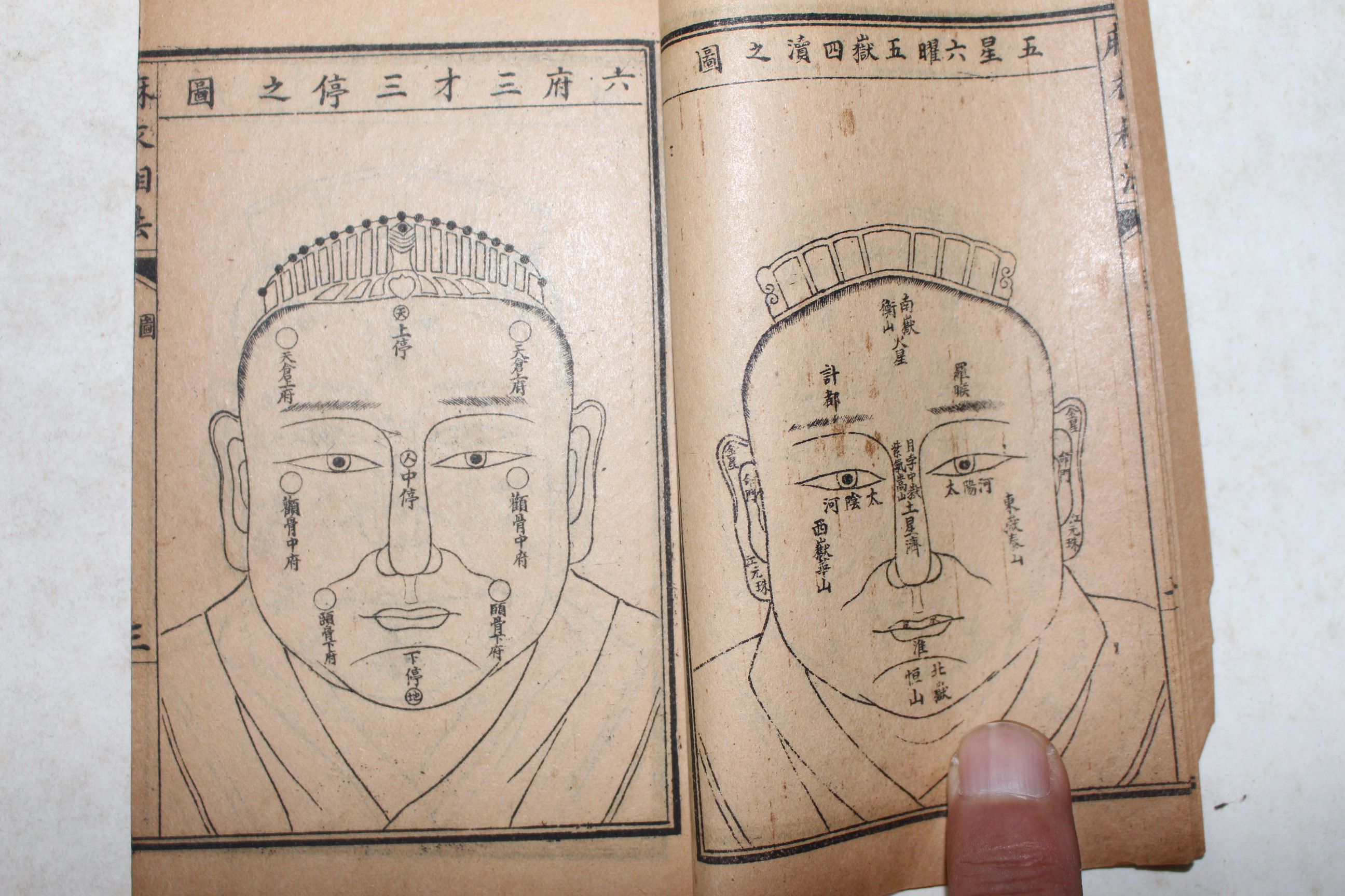 1924년 중국상해본 증석마의상법전편(增釋麻衣相法全編)  4책완질